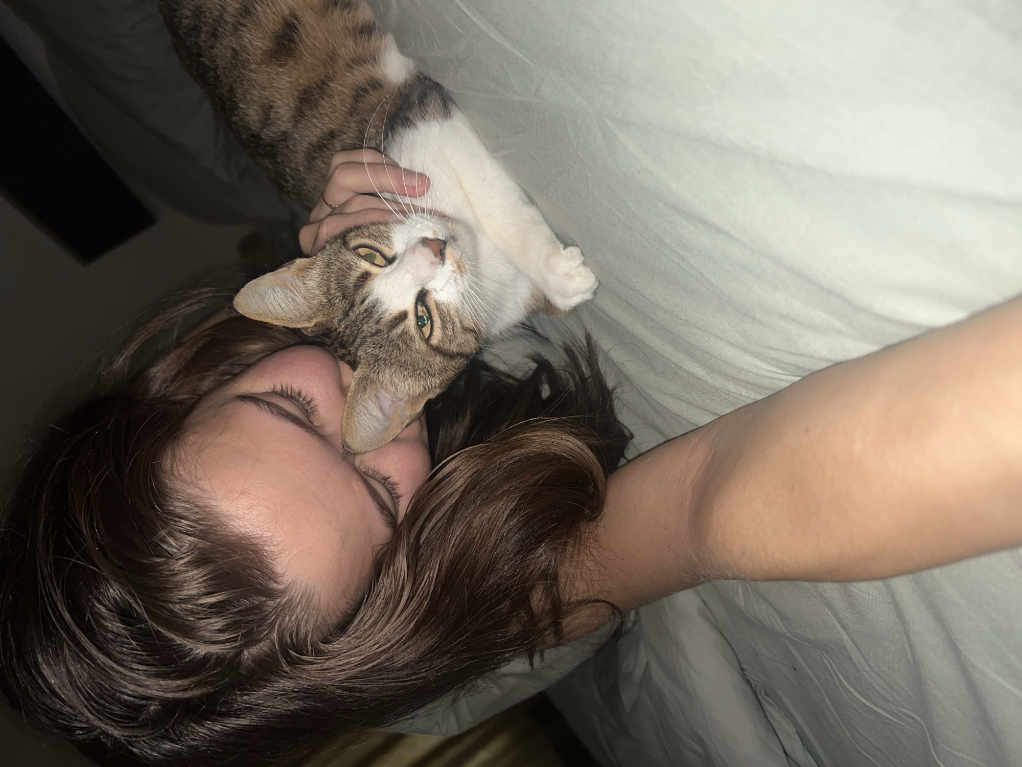 A young person with long, dark brown hair lies in bed, embracing a tabby and white cat. The person's face is partially obscured as they nuzzle the cat's head. The cat, with green eyes and a white chest and paws, looks towards the camera with a slightly narrowed gaze. A hand with a ring on one finger is gently touching the cat's face. The scene takes place on a light-colored bed, with the soft lighting suggesting an indoor environment. The image does not provide any specific indicators that would allow for a precise location within the city of Batumi, Georgia.