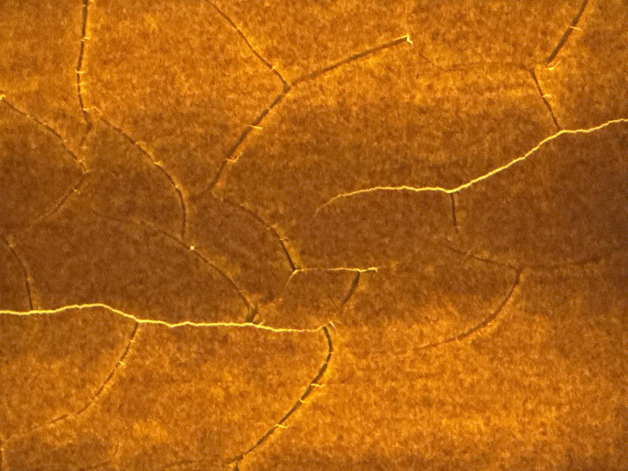 This is a close-up, top-down shot of a dried, cracked surface, illuminated with a warm, golden light. The texture appears rough and granular, with a network of fine fissures running across it. The cracks are highlighted by the light, creating bright, thin lines that stand out against the darker, textured background. The color palette is dominated by shades of orange and gold, with variations in brightness suggesting uneven lighting or depth. There are no discernible subjects, objects, scenes, or activities. The image is abstract, focusing solely on the texture and pattern of the cracked surface. No text is visible. The location context of Karon, Thailand, does not provide any immediate visual cues within the image itself.