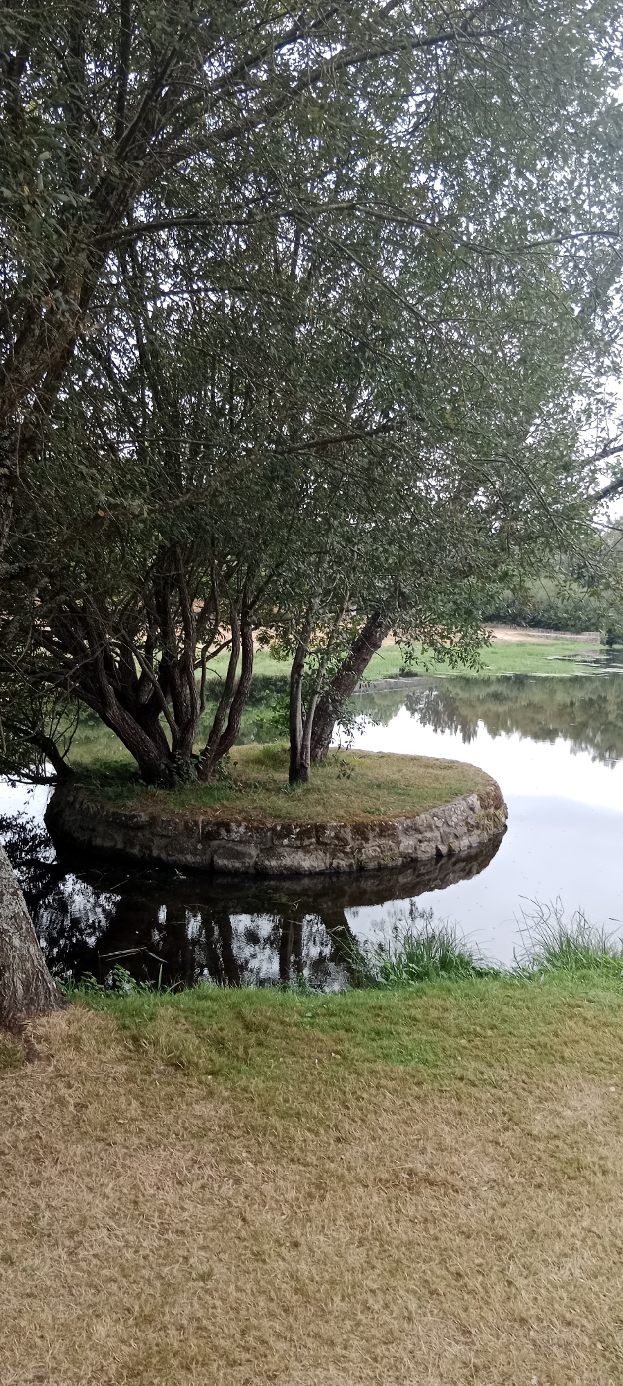 The image depicts a tranquil natural scene, likely in a park or garden, featuring a small island with trees in the middle of a body of water. The island is surrounded by a stone retaining wall, covered in moss and grass. Several trees, with thick trunks and lush green foliage, are growing on the island. Their reflections are visible in the still water. The foreground of the image shows a grassy bank, with some areas appearing dry and brown, possibly due to the season. The background suggests more greenery and possibly other bodies of water or landforms. The overall atmosphere is serene and picturesque. The location is identified as O Corgo, Spain, implying this is a public park or a natural landmark within that municipality. There are no people or animals visible in the image.