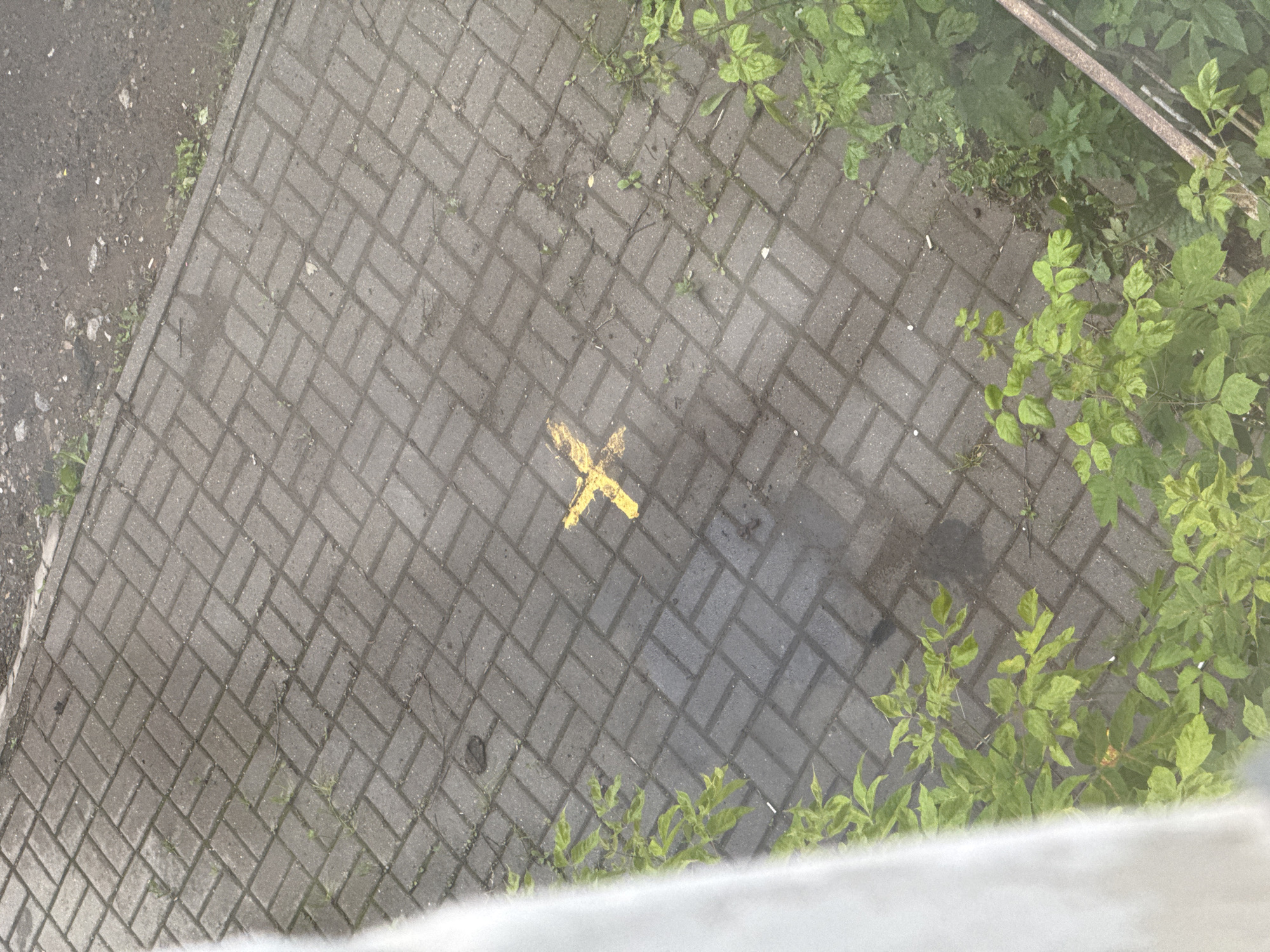 This is an aerial, full-shot, outdoor, medium-angle, eye-level photograph taken on a cloudy day in Izhevsk, Russia. The scene depicts a grey, herringbone-patterned brick sidewalk, which is wet and appears to have some debris scattered on it. A yellow "X" marking is painted on the sidewalk.
To the left of the sidewalk, there is a patch of grey gravel and dirt with some small green plants growing in it. To the right of the sidewalk, there is a dense area of green foliage, with leaves and branches encroaching onto the brickwork. A thin, rusty metal railing or fence is visible at the top right of the image, partially obscured by the plants.
The overall impression is one of an urban or semi-urban outdoor space that is slightly overgrown and appears to have recently experienced rain. The lighting is diffused due to the cloudy conditions. No people are visible in the image. There is no visible text.