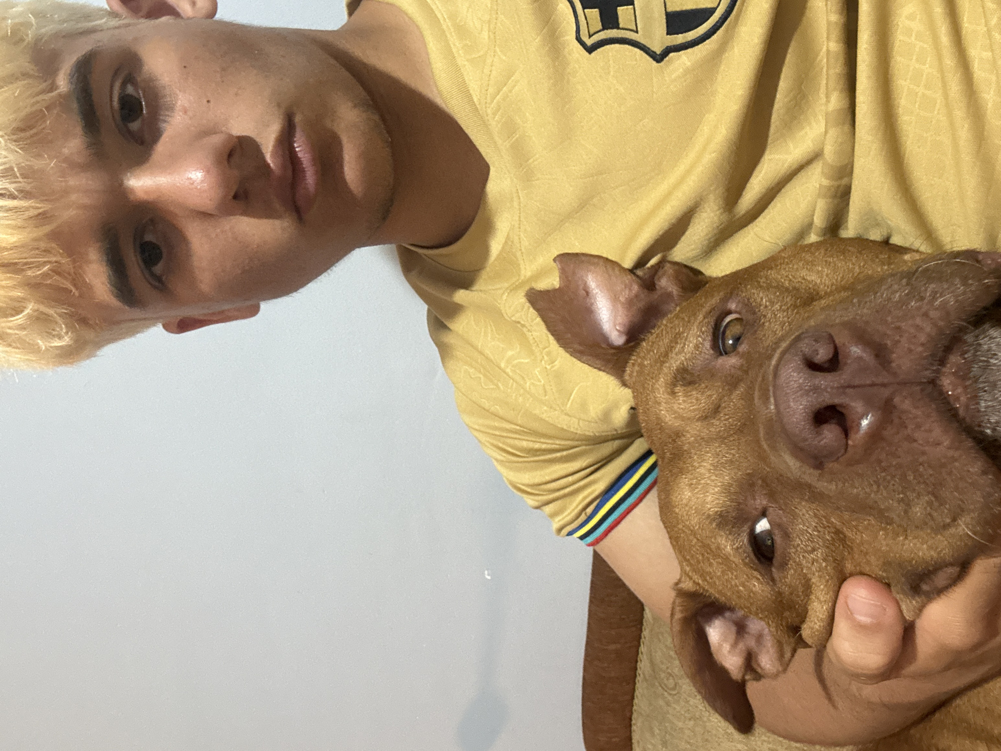 A close-up, selfie-style photograph shows a young man with dyed blond hair holding a brown pit bull dog. The man is wearing a yellow t-shirt with a crest on the right side and colorful stripes on the sleeves. The dog's face is prominent in the foreground, with its left ear visible and one eye looking towards the camera. The man's hand is visible supporting the dog's head. They appear to be indoors, with a plain light gray wall in the background and a brown couch visible to the left. The overall lighting is warm, suggesting an indoor setting. There is no information in the image to indicate the location is in Sofia, Bulgaria.