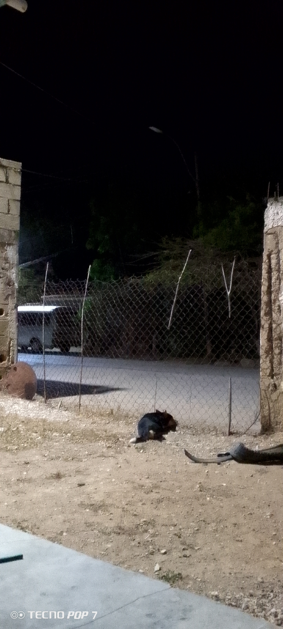 The image, taken at night in what appears to be Altagracia, Venezuela, shows a dirt yard enclosed by a chain-link fence and concrete walls. A dark-colored dog is lying on the ground near the fence. Behind the fence, a white van is parked. A piece of coiled material rests on the ground near the right wall. A street light is visible in the dark sky. The "TECNO POP 7" watermark is visible in the lower left corner.