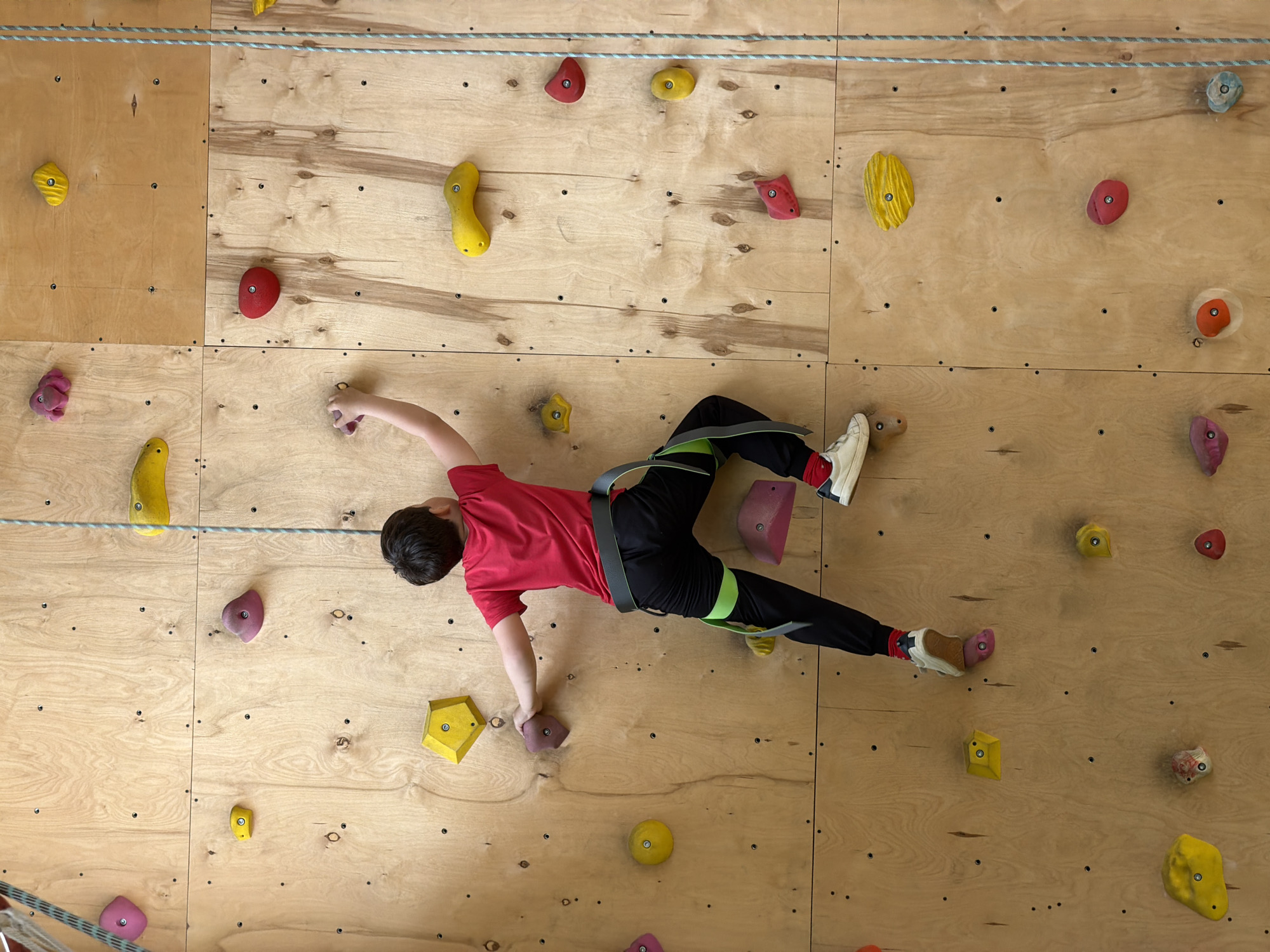 A child is climbing a climbing wall, wearing a red shirt, black pants, and climbing shoes. A climbing harness is fitted around their waist. The climbing wall is constructed from wooden panels and features an array of colored climbing holds. A safety rope runs along the top of the wall. The photo was taken indoors. The location of the photo is Izhevsk, Russia.