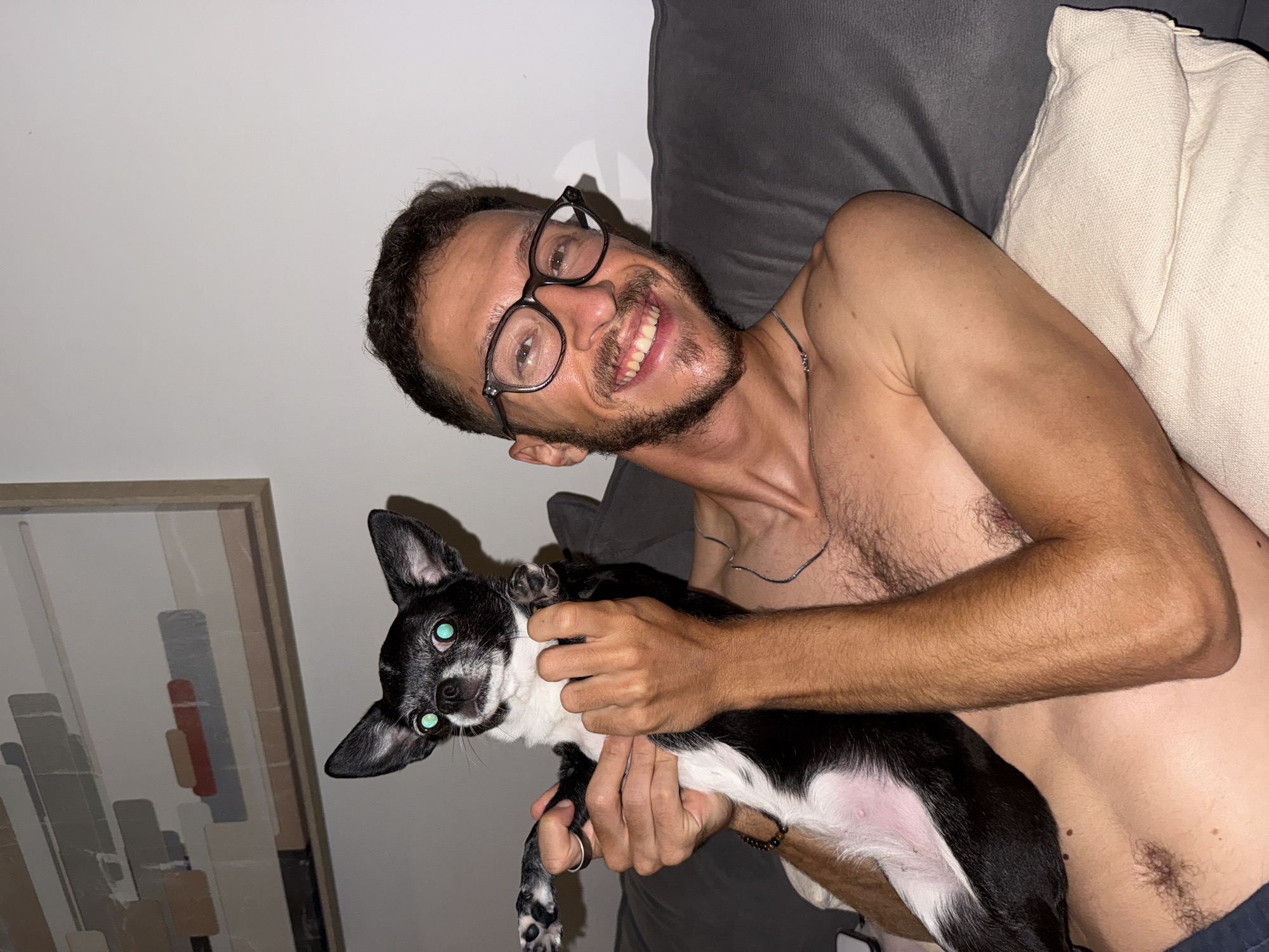 A man and a chihuahua dog are pictured on a couch in what appears to be a living room. The man, who is shirtless and wearing glasses, is holding the dog. The dog has black and white fur and bright green eyes. The background includes a wall with a framed piece of art and a grey couch. There is no indication of the location being in the city of منجا, Jordan.