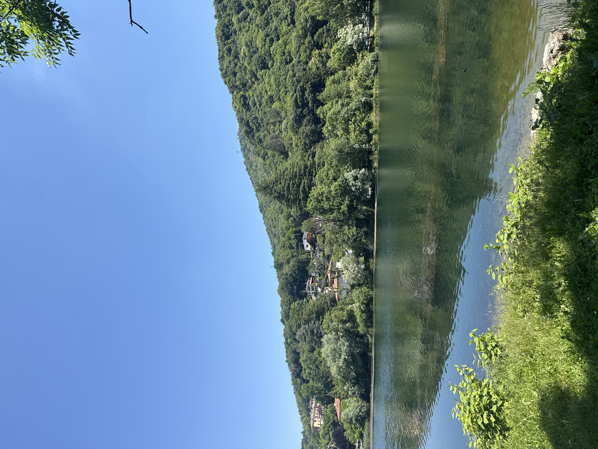 The image depicts Lake Ghirla in Ghirla, Italy. The lake's surface reflects the forested hillside on its opposite bank and the clear blue sky above. A few houses are visible nestled among the trees on the hillside. The near bank of the lake is lined with lush green vegetation. A small black object is visible floating on the lake surface. A single branch is visible in the upper left corner of the image, extending into the sky.