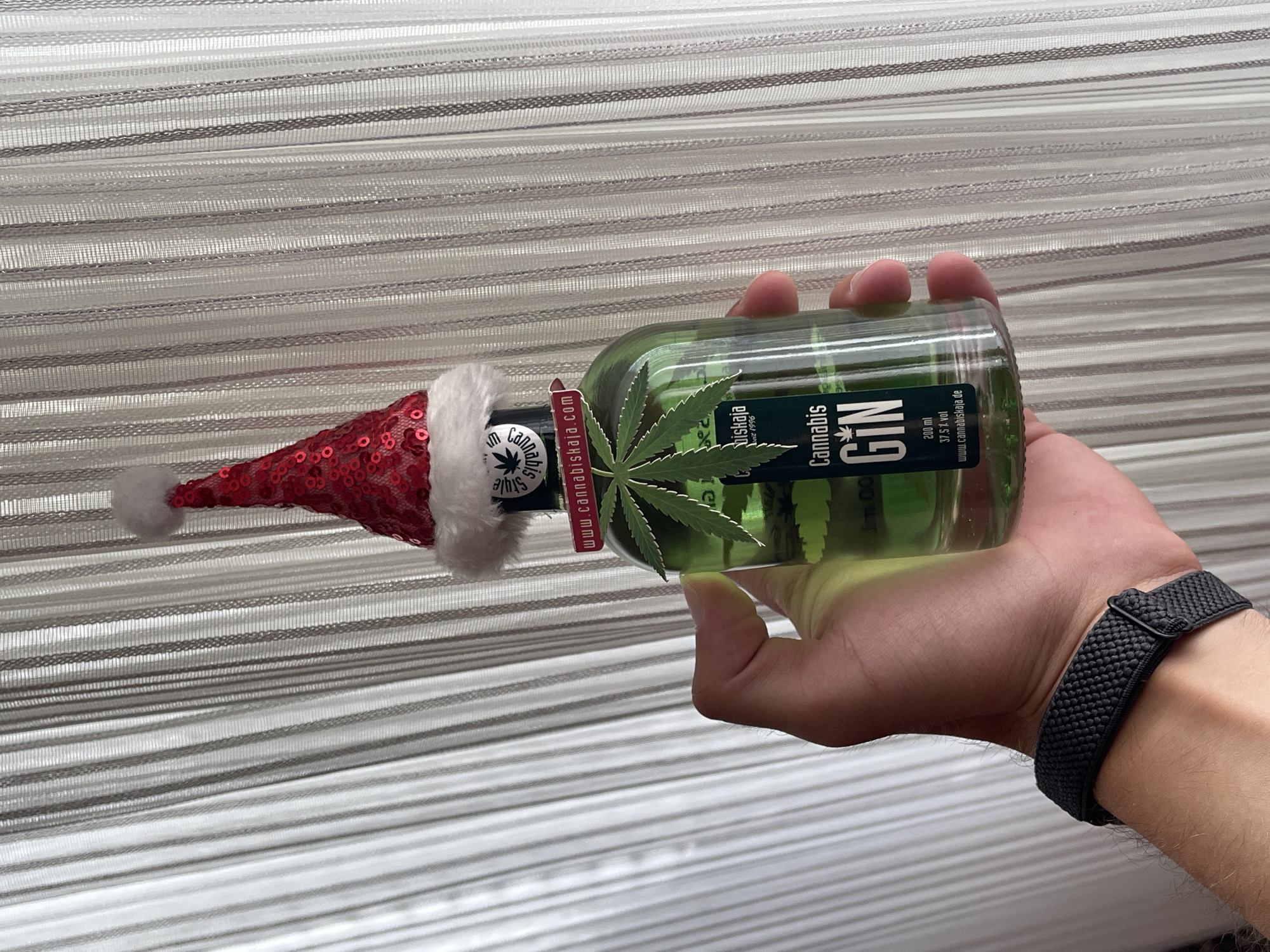 A person is holding a bottle of "Cannabis Gin" horizontally against a background of horizontal blinds. The bottle has a Christmas hat on its neck. The bottle's label contains the text "Cannabis Gin," "Cannabis Style," "www.cannabiskaja.com", "Viskaja, since 1996," "200 ml," and "37.5% vol." A cannabis leaf is also affixed to the bottle. The person has a black wristband on their left wrist. The blinds behind the hand and bottle are light gray with some darker gray stripes.
The location of the city of Bender, Moldova is not provided.