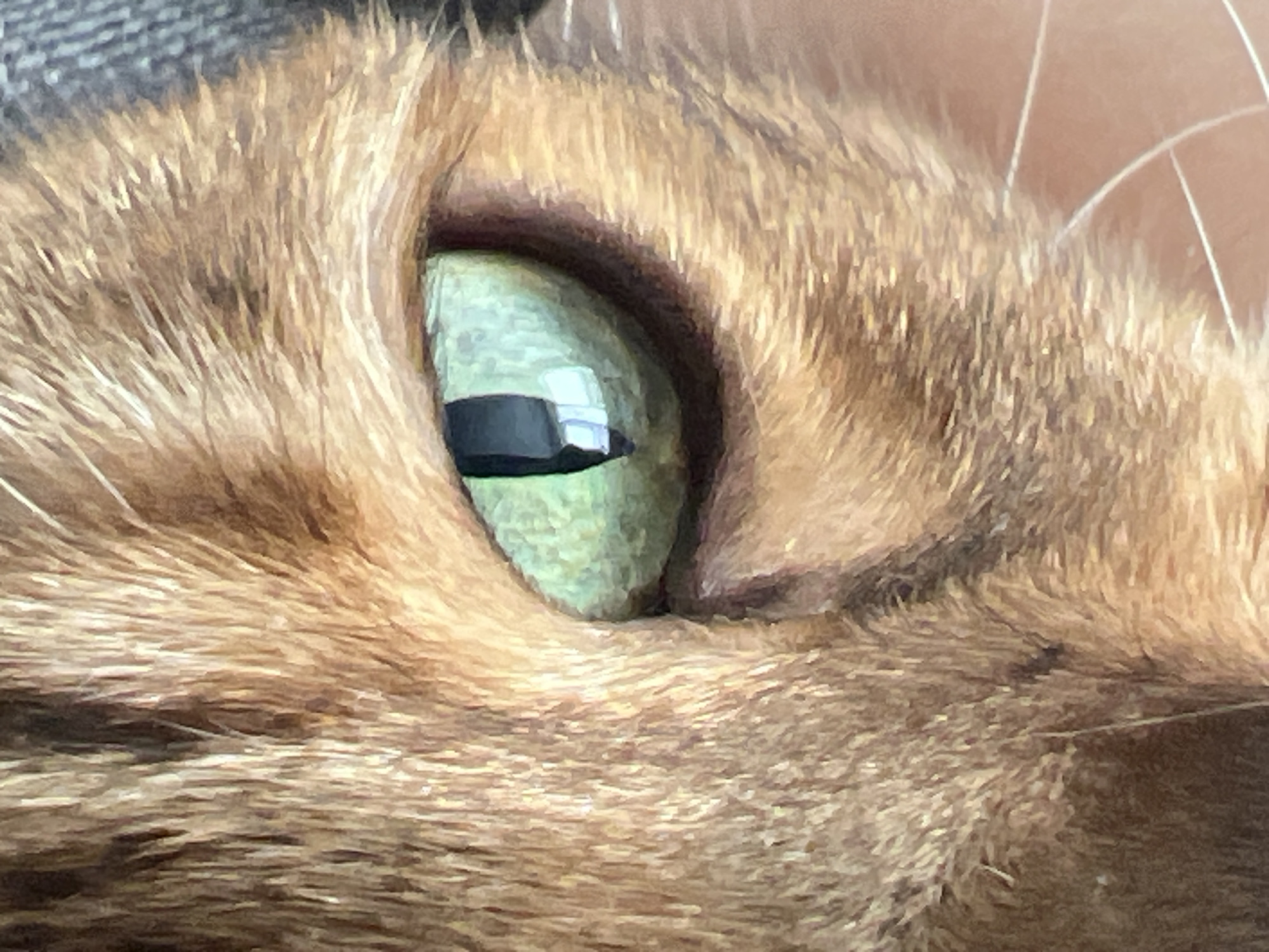 This is an extreme close-up, headshot of an orange tabby cat's eye. The image focuses on the cat's left eye, which is a vibrant green with a vertical pupil. The cat's fur is a mix of orange and brown stripes, and appears soft and slightly blurred due to the shallow depth of field. The background is out of focus and appears to be a textured, dark gray surface, possibly fabric. There is no indication of the city of Yekaterinburg, Russia, nor any people, objects, actions, or interactions present in this image.