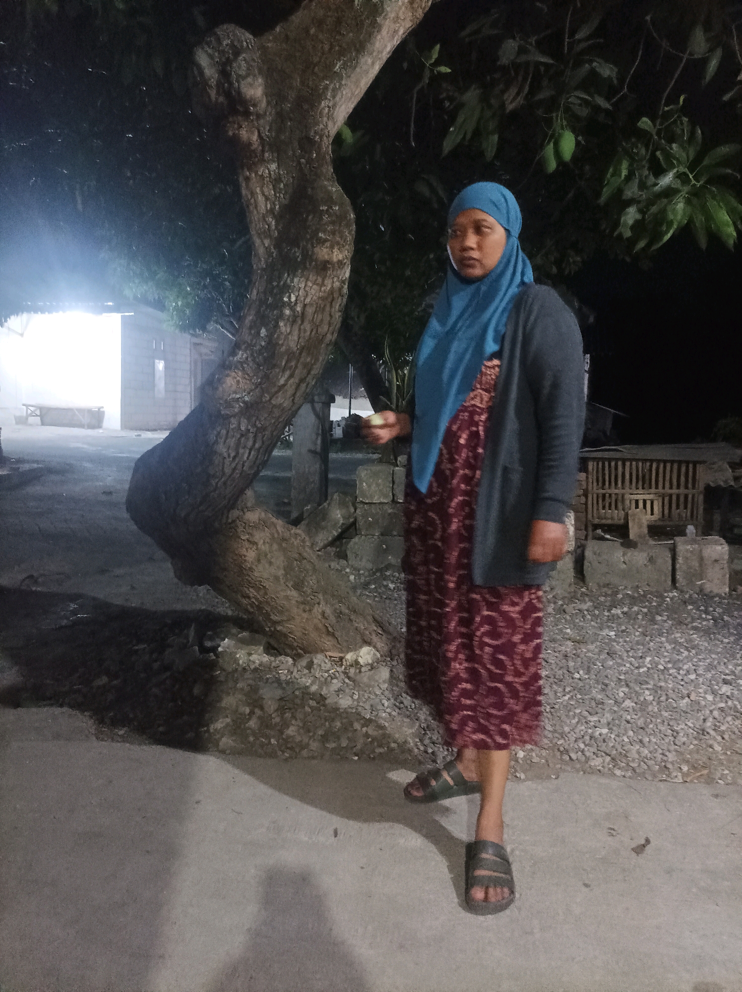 A medium shot captures a woman standing outdoors in what appears to be the village of Canga'an, Indonesia. She is positioned slightly right of center, facing the viewer with her body angled to her left. The woman is wearing a teal hijab, a grey cardigan over a long, maroon dress with a white pattern, and dark sandals. She is holding a light-colored object in her right hand. Behind her, a large, gnarled tree trunk dominates the left side of the frame, its branches extending upwards and to the right. Some green mangoes are visible on a branch above and to the right of the woman. The background features a rustic setting with cinder block structures, a chicken coop, gravel, and a paved area. The scene is dimly lit, suggesting it is nighttime, with artificial light sources casting shadows.