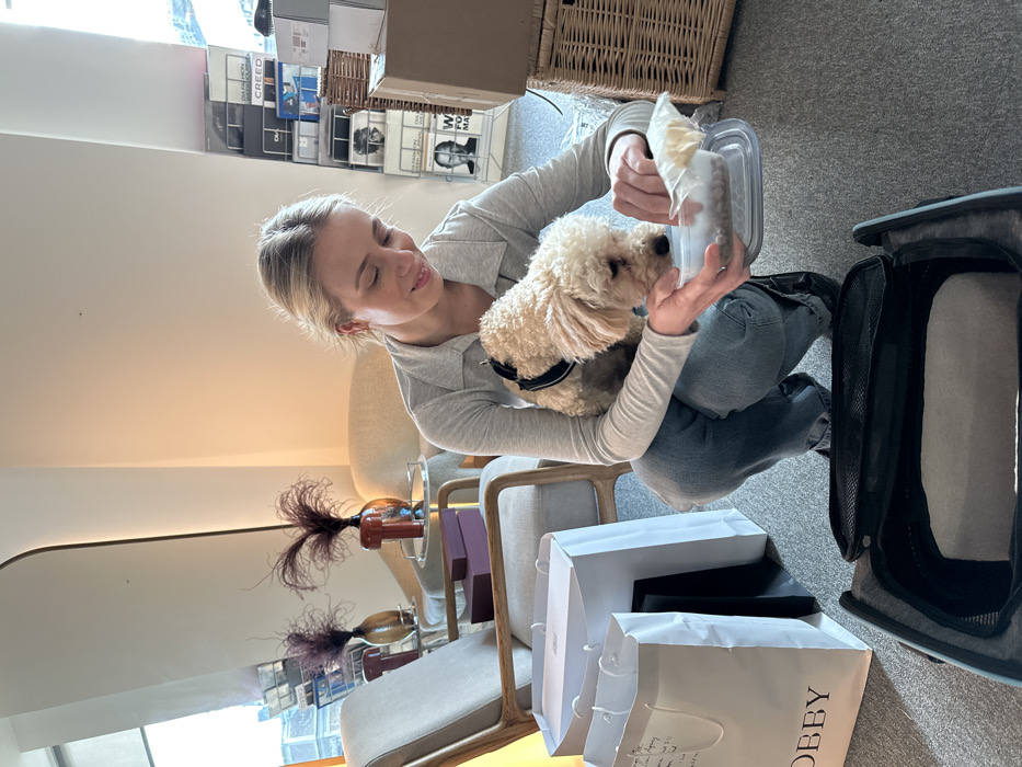 An indoor scene in the city of London, United Kingdom, shows a blonde woman crouching on a grey carpeted floor, holding a small, light-colored curly-haired dog with a black harness. The woman is focused on preparing food, holding a clear plastic container with kibble or dry food, and adding contents from a small transparent plastic bag. The dog looks intently at the food. An open, grey soft-sided pet carrier rests on the floor in the foreground. To the left, two white shopping bags are present; one displays the partial brand name "HOBBY" and includes handwritten text that reads "doggy treats from Abbey." Behind these items, a light-colored armchair with wooden arms, a side table, and two decorative vases with dark, feathery plumes are visible. In the background, a metal magazine rack holds several publications, including identifiable titles such as "DVA FASHION," "QUEEN," and "CREED." A wicker basket and cardboard boxes are also present on the right side of the frame. Natural light illuminates the room from a large window on the left, revealing glimpses of modern urban architecture outside. The interior features light-colored walls and contemporary furnishings.