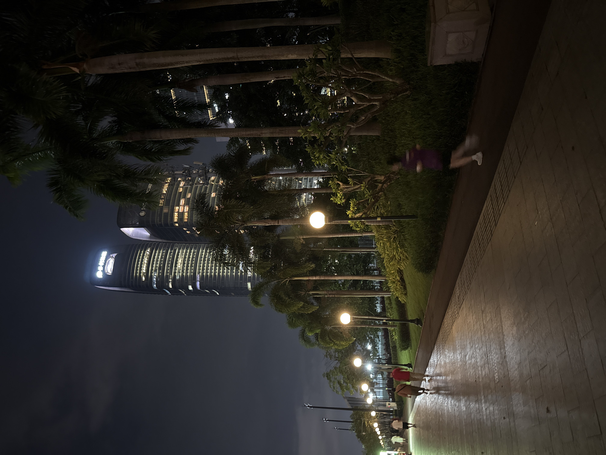 This image captures a nighttime scene within Haizhu District, China, featuring an urban park and promenade with a backdrop of illuminated skyscrapers. The sky is dark and overcast, showing subtle cloud formations.
In the background, two prominent modern skyscrapers are visible. The taller building on the left features a brightly illuminated corporate logo at its apex, displaying Chinese characters identified as "广发银行" (Guangfa Bank). Both buildings exhibit numerous lit windows across their facades.
In the midground and foreground, a wide, paved promenade stretches from the lower left to the upper left of the frame. To its right, a narrower, darker track, likely for jogging or cycling, runs parallel to the promenade. Both paths are bordered by manicured greenery. A dense row of palm trees lines the right side of the paths, with additional smaller trees and bushes covering the ground.
A series of uniformly spaced streetlights with spherical, warm-toned bulbs illuminate the paths and surrounding vegetation. These lights cast reflections on the wet or polished surface of the promenade.
Several individuals are present. On the wider promenade, multiple distant figures are visible walking away from the camera. Closer to the viewer, two individuals walk together on the promenade; one wears a red shirt and dark pants, and the other wears a tan or brown shirt and dark pants. On the narrower track to the right, a single individual is captured in motion, jogging away from the camera. This person wears a purple shirt and dark shorts, with their lower legs and feet blurred due to movement.
On the far right, a large, light-colored concrete structure with decorative carving is partially visible next to the jogging track.
