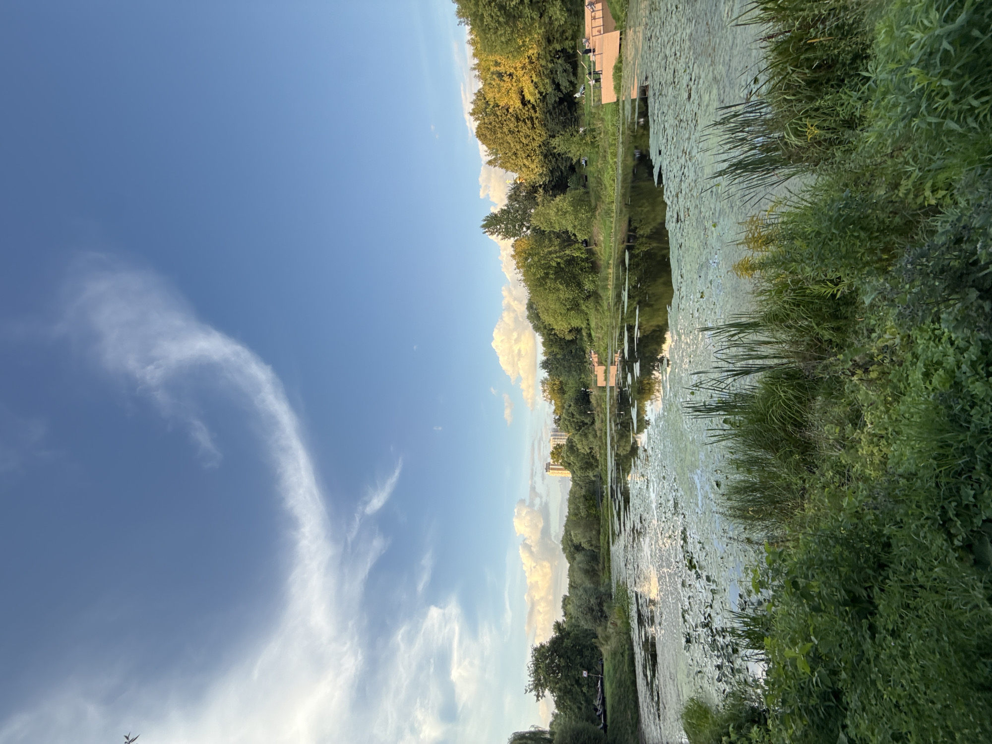 The image depicts a serene lake covered in lily pads and algae, surrounded by lush green trees. In the distance, a modern building stands against a bright blue sky with wispy clouds. Wooden platforms are visible along the shoreline, with a few individuals relaxing on them. The scene is set in a park, likely a recreational area within the city of Moscow, Russia, given the architectural style of the distant building and the general ambiance. There is a faint reflection of the sky and trees on the calm water's surface. A small airplane is visible in the upper left corner of the sky.