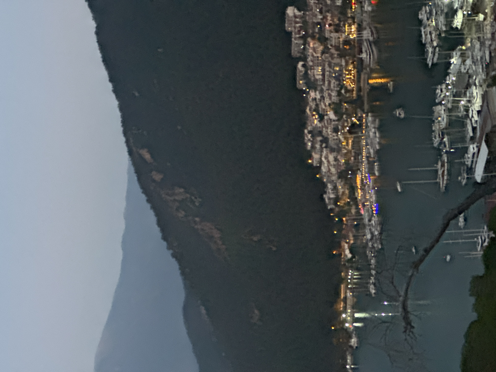 This image depicts a twilight view of a coastal town nestled against a dark, mountainous backdrop. The town, likely Fethiye, Turkey, is characterized by a dense cluster of buildings with illuminated windows, suggesting it is inhabited. Below the town, a harbor is filled with numerous boats of various sizes, some moored and others seemingly anchored. The water reflects the lights from the town and some boats, creating shimmering patterns. A prominent bare tree branch curves into the foreground, partially obscuring the view of the harbor. The sky is a pale, hazy blue, fading into darker tones as it meets the silhouettes of the distant mountains, which appear to be covered in vegetation. The overall scene conveys a sense of calm and transition from day to night.