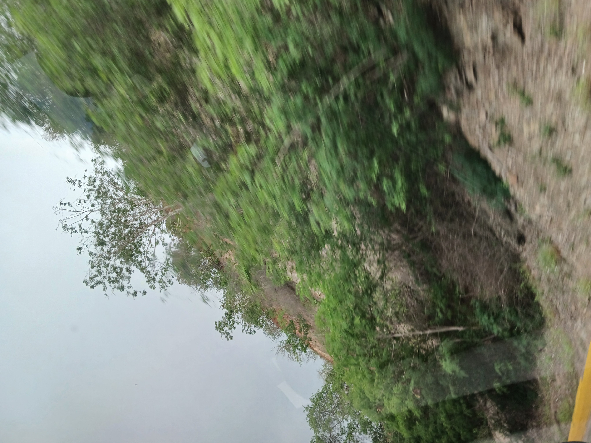 This is a motion-blurred, eye-level, outdoor photograph of a steep, rocky hillside covered in dense green foliage and scattered trees, taken from a moving vehicle. The sky is overcast and a pale grey. In the foreground, a yellow line is visible along the bottom edge of the frame, suggesting the edge of a road. The hillside itself is uneven, with visible patches of exposed rock and soil amidst the vegetation. The motion blur indicates rapid movement, characteristic of being a passenger in a car. This scene is consistent with the mountainous terrain found in and around El Valle del Espíritu Santo, Venezuela, where such landscapes are common.