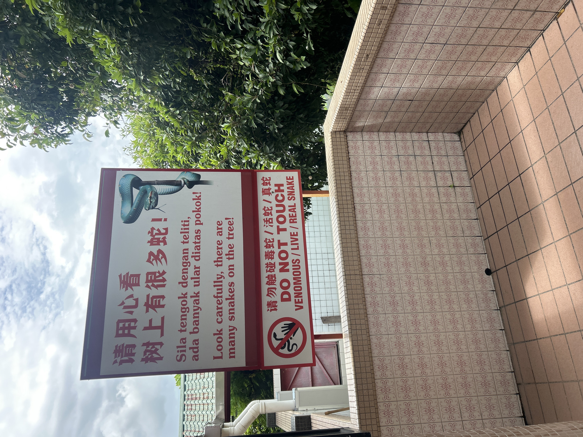 The image shows a sign in George Town, Malaysia, warning people about snakes on trees. The sign is in Chinese, Malay, and English. The English text reads "Look carefully, there are many snakes on the tree! DO NOT TOUCH VENOMOUS / LIVE / REAL SNAKE". Below the English text, there is a circular red and white symbol with a snake and a hand crossed out, indicating a prohibition. The sign is mounted on a metal pole in front of a tiled wall and a tiled floor. Behind the sign, there are green trees and a cloudy sky. To the left of the sign, there is a white pipe and an air conditioning unit. The scene appears to be outdoors, possibly in a park or a garden.