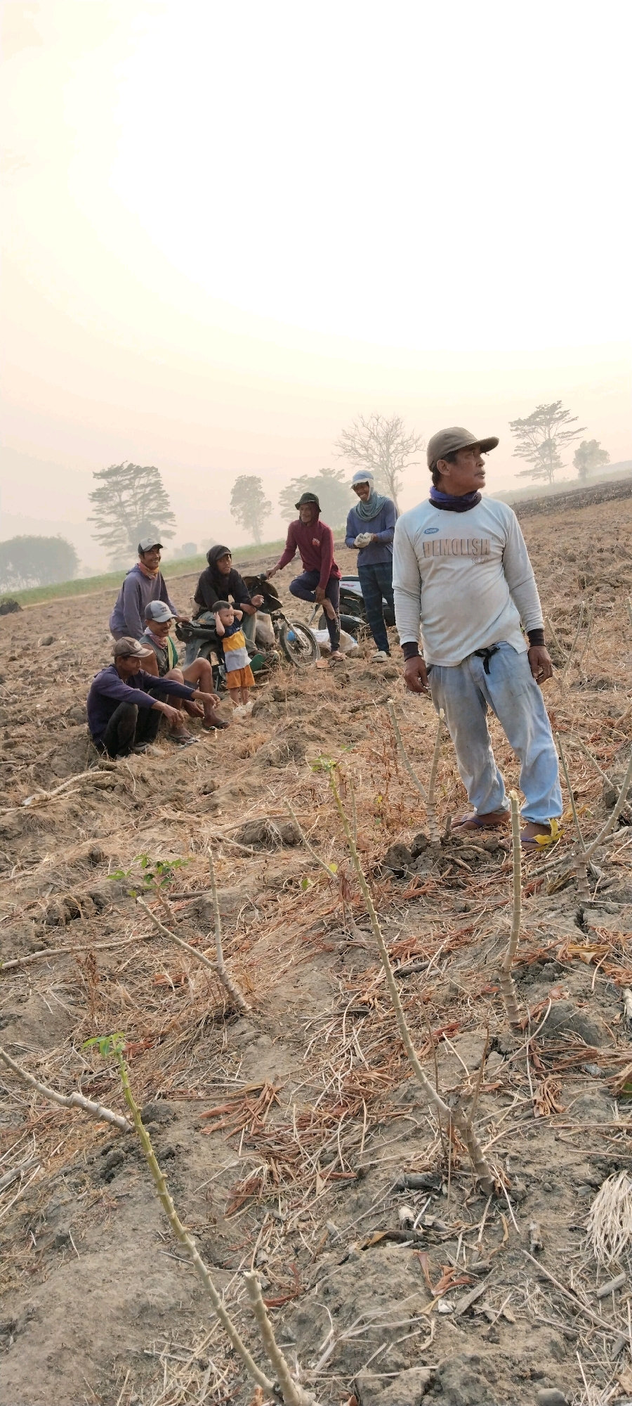 In a dry, dusty agricultural field in Tanjung Ratu Ilir, Indonesia, a group of individuals is gathered. The ground is uneven and covered with dry vegetation and what appear to be the remnants of harvested crops. In the foreground, a man wearing a cap, a light-colored long-sleeved shirt with the word "DEMOLISH" printed on it, and light blue pants stands looking off to the right. His stance is relaxed, with his left hand on his hip and his right hand hanging by his side. His face is weathered and he appears to be in his 40s or 50s.
Behind him, to the left, several other people are positioned. One man in the middle ground is seated on the ground, facing away from the camera. Another man is seated next to him, wearing a dark long-sleeved shirt and dark pants, also facing away. To their left, two other individuals are visible, one wearing a maroon long-sleeved shirt and dark pants, and another in a blue shirt and a head covering. A motorcycle is parked nearby, with a child standing beside it, wearing a yellow and blue shirt and orange shorts. Further back, more individuals are visible, some standing and others possibly seated. The atmosphere is hazy, suggesting either early morning or late afternoon light, or possibly dust in the air. The background shows a treeline and a soft, bright sky. The overall scene depicts a break or pause in agricultural work.