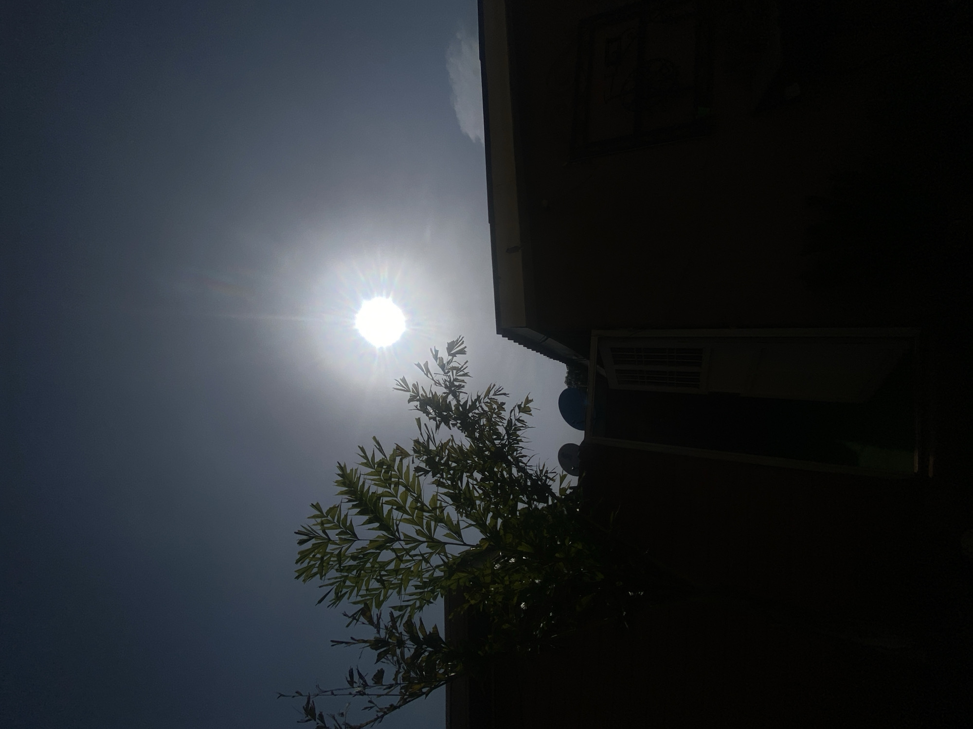 A low-angle shot captures a sun obscured by atmospheric haze, positioned high in the sky with rays emanating outwards. Silhouetted against the sun is a tree with fine, dense foliage. To the right, a structure, possibly a building, is largely in shadow, revealing sections of wall, a window, and an air conditioning unit. The overall color palette is dominated by dark shades, except for the bright solar presence. Given the location, it is likely this scene is located in the city of Barden Yana in Nigeria.