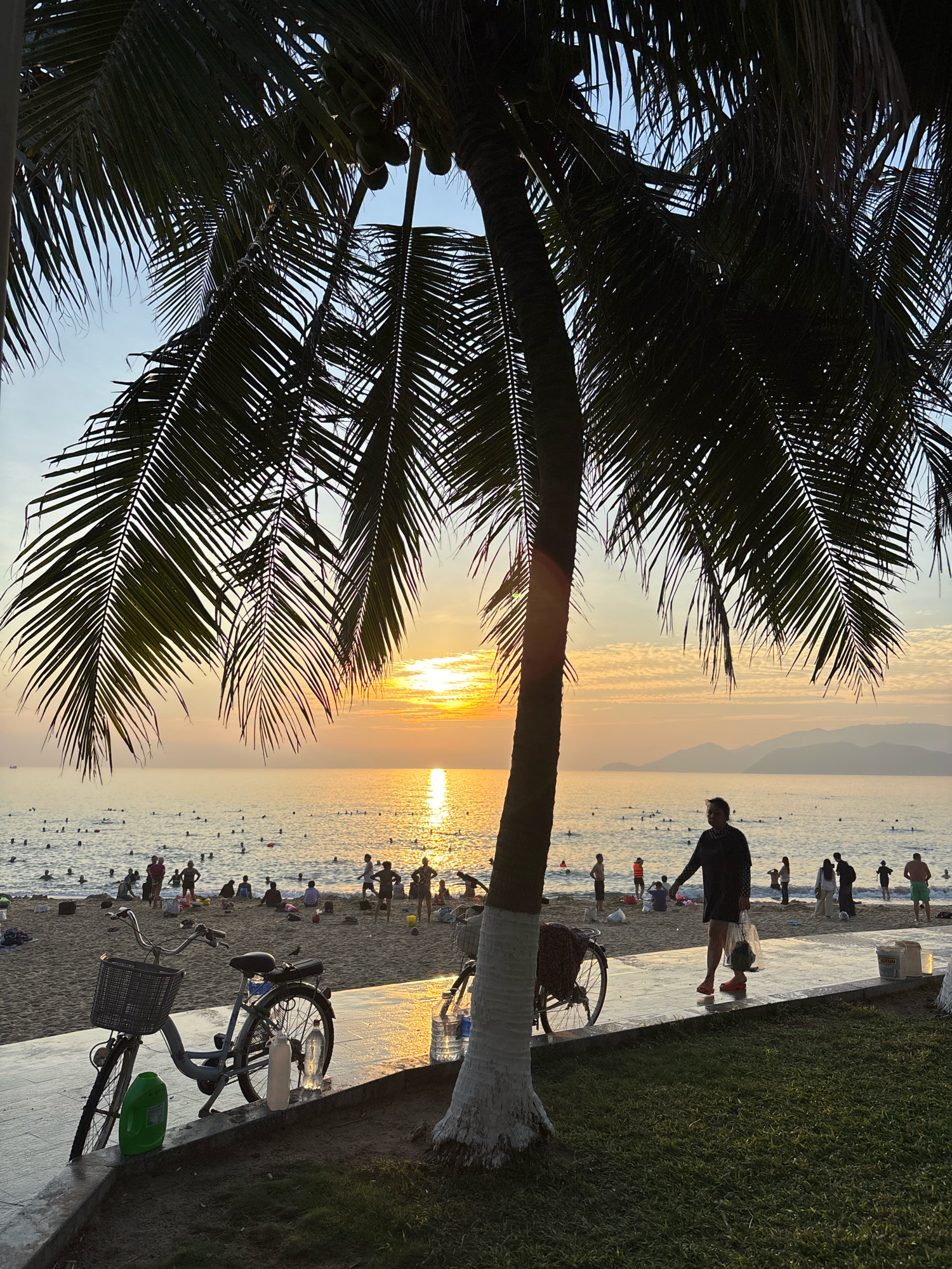 A tranquil beach scene unfolds at sunset in Nha Trang, Vietnam. The sky is painted with hues of orange and yellow as the sun dips towards the horizon, casting a golden glow across the calm sea. Palm fronds, silhouetted against the sky, frame the view, their leaves creating a dappled shade on the sand.
A well-trodden pathway runs parallel to the shoreline, reflecting the warm light. On this pathway, a man in a dark shirt and shorts walks, holding a clear plastic bag. In the foreground, a bicycle with a wicker basket rests on the pathway, accompanied by a green plastic container and two water bottles. Another bicycle is partially visible to the right.
The beach itself is alive with activity. Numerous people are scattered across the sand, some sitting, others strolling, while a significant number are in the water, enjoying a refreshing dip. The sea is dotted with these figures, creating a lively yet peaceful atmosphere. In the distance, hazy mountains rise from the coastline, adding depth to the picturesque landscape. The overall impression is one of a serene evening at a popular coastal destination.