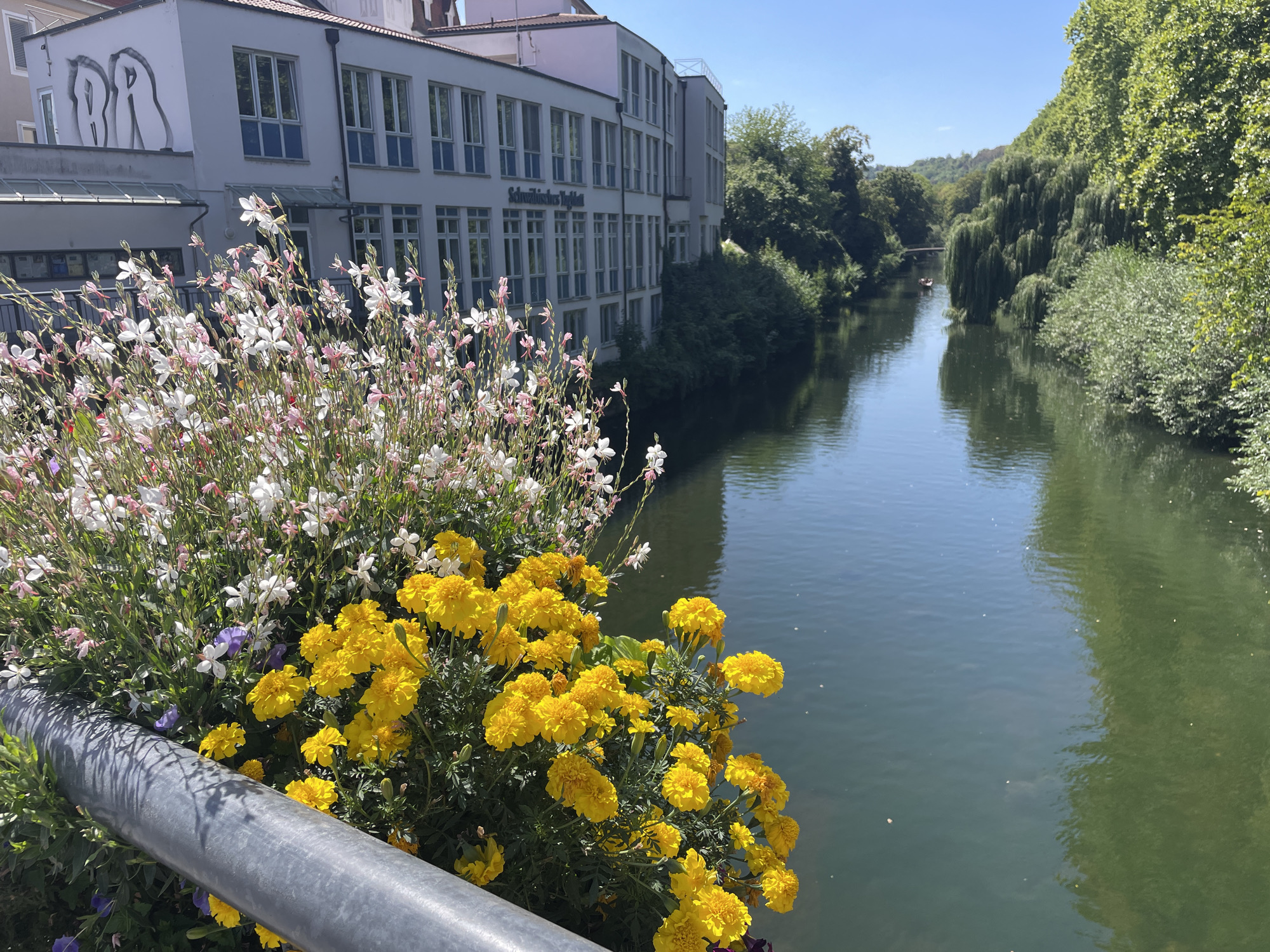In the city of Unknown, Unknown, a scenic view of a river is presented, with lush green trees lining its banks. In the foreground, a railing is visible, adorned with a vibrant display of yellow and white flowers. Beyond the flowers, a modern, multi-story building with numerous windows stands on the left side of the river. The river itself is a tranquil body of water, reflecting the blue sky and surrounding greenery. Further down the river, a small boat can be seen, adding a touch of activity to the peaceful landscape. The overall scene conveys a sense of natural beauty and urban harmony.