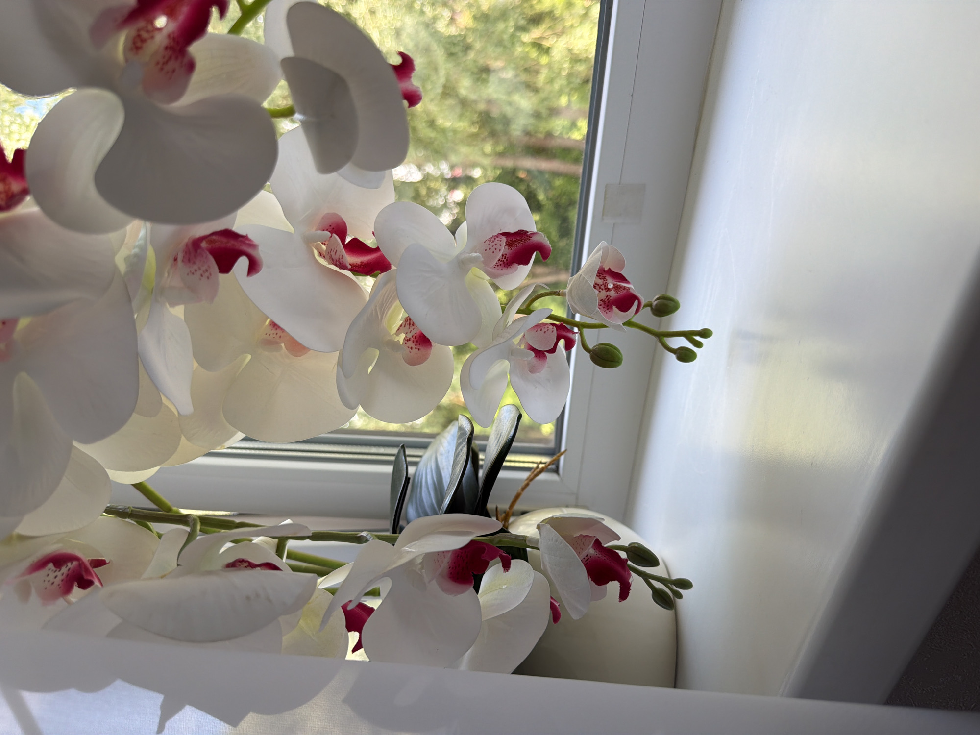 A close-up shot captures a bouquet of artificial white orchids with deep pink centers, arranged in a white vase on a white ledge. The flowers are the primary subjects, with some in full bloom and others as tightly closed buds. The vase is partially visible behind the flowers, suggesting a decorative arrangement.
The scene is set indoors, near a window. Through the window, out-of-focus green foliage and sunlight indicate a daytime setting, likely late morning or afternoon, with bright, possibly sunny, weather. The light streaming in creates soft highlights on the white surfaces of the flowers and vase, and casts subtle shadows.
The background outside the window is blurred, showing the dappled effect of sunlight filtering through leaves. On the right side of the image, a bright white, angled surface, likely a wall or windowsill, dominates the frame, with a faint light source illuminating it. There are two small, translucent square pieces of tape visible on this surface, near the window.
The overall mood is serene and tranquil, highlighting the delicate beauty of the artificial flowers against a bright, natural backdrop. There is no visible text in the image. The activity, if any, is simply the display of the floral arrangement.