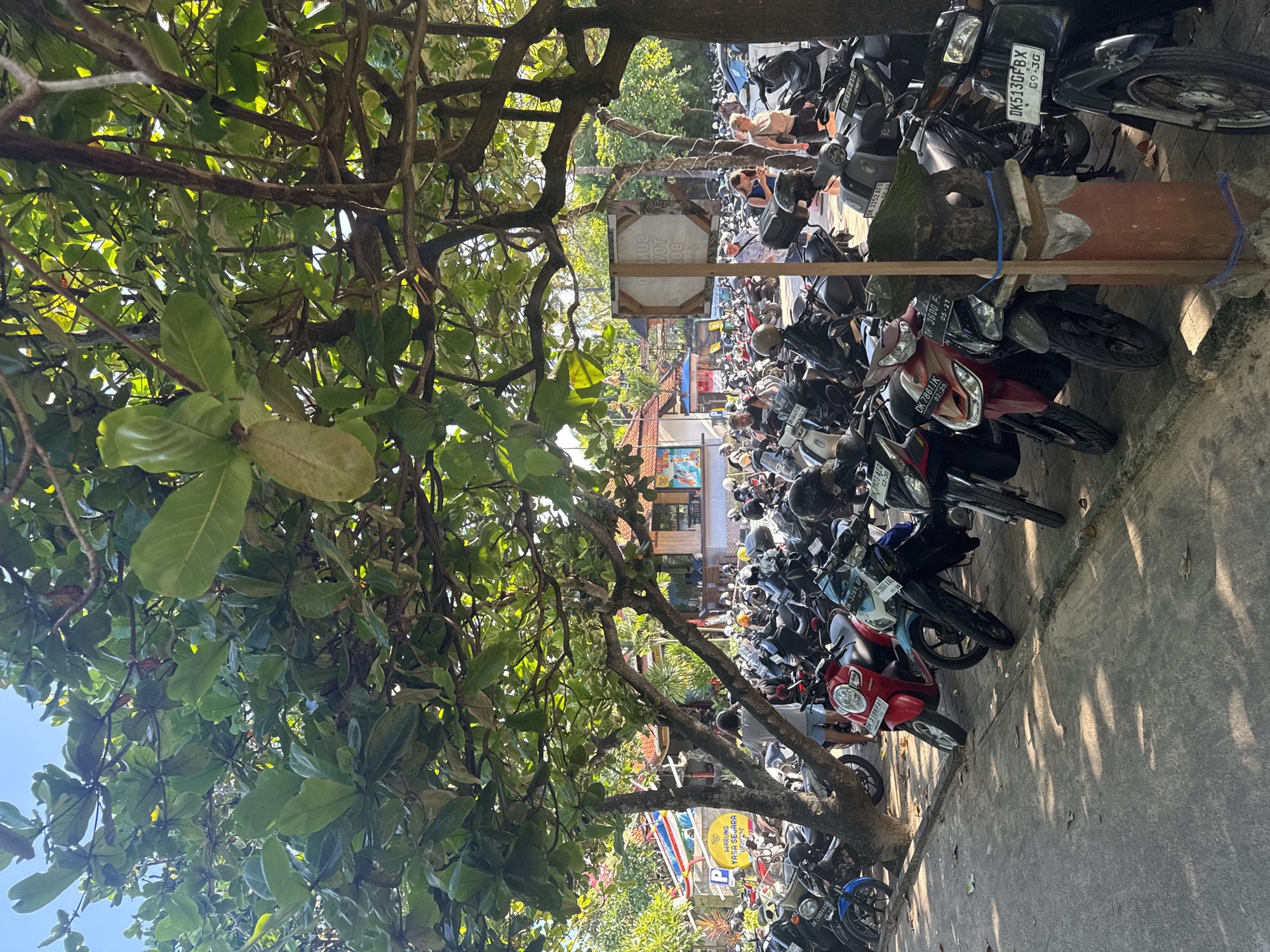 The image shows a dense motorcycle parking area in Kuta Selatan, Indonesia. Numerous motorbikes are tightly packed, obscuring the backdrop of buildings and a street scene with pedestrians. A large tree with abundant green foliage dominates the left side of the frame. Signs with text and license plates are visible on the motorbikes. The overall impression is one of crowded urban parking conditions.