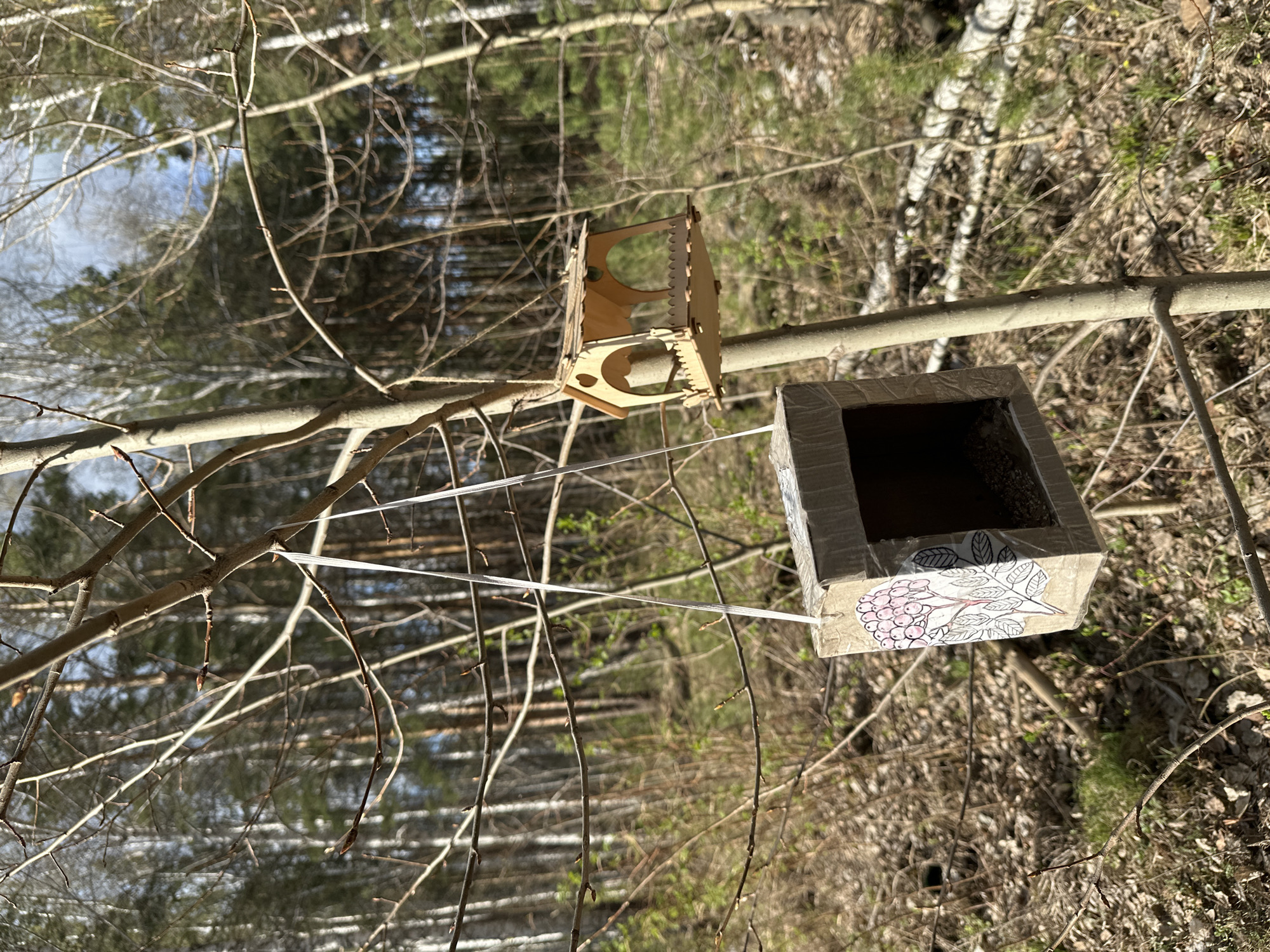 The image depicts two bird feeders hanging from a bare tree branch, likely in a park or wooded area. The feeder on the left is constructed of light-colored wood with a decorative design featuring circles and scallops. The feeder on the right is a square cardboard box decorated with a drawing of a berry branch. Both feeders are suspended from the tree branch by white cords. The background shows a forest with bare trees and a mix of sunlight and shadows. The ground is covered in leaves and vegetation. Without additional information, the exact location within Yekaterinburg cannot be determined. No people or animals are visible in the image. The primary objects are the two bird feeders, the tree branch, and the surrounding forest environment.