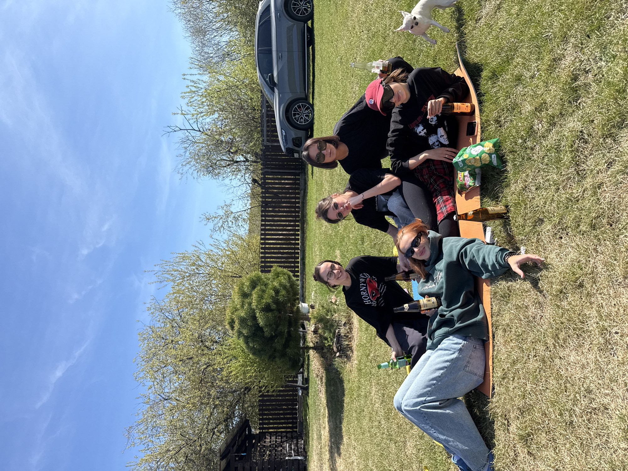 **Scene:**
The image depicts a group of five individuals, possibly friends or family, gathered outdoors in a grassy area. The setting is likely a backyard or park. The exact location in Emel'yanovo, Russia is not possible to determine from the provided images.
**People:**
* Five individuals are visible.
* They appear to be young adults or adults.
* Clothing varies, with jeans, sweaters, and t-shirts being worn.
* At least three individuals are wearing sunglasses.
* One individual is wearing a red baseball cap.
**Objects:**
* A car is parked in the background.
* Several bottles, possibly beer bottles, are present.
* A bag of chips is visible.
* A wooden structure or pallet is in the bottom left corner.
* A mat or blanket is spread out on the grass.
* A dog is jumping in the background.
**Actions/Interactions:**
* The group appears to be socializing and enjoying each other's company.
* Some individuals are holding bottles.
* The dog is jumping and active.
**Environment:**
* The location is outdoors with a grassy area.
* There are trees and a fence in the background.
* The sky is blue with some clouds.
* The weather appears to be sunny.