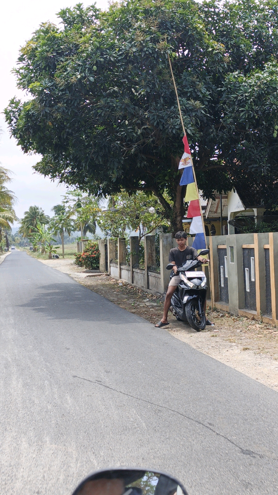 The image depicts a young man sitting on a black scooter parked on the side of a paved road. He is wearing a dark t-shirt and shorts. A tall pole with several small flags in red, white, yellow, and blue is planted behind him. The scooter is positioned next to a low, concrete fence. In the background, there is a large, leafy tree. Beyond the fence and tree, a house is partially visible. To the left of the road, there is a line of palm trees and other vegetation, with a wide field stretching into the distance under a cloudy sky. The road appears to be in a rural or semi-rural area. The location is Ciliang, Indonesia.