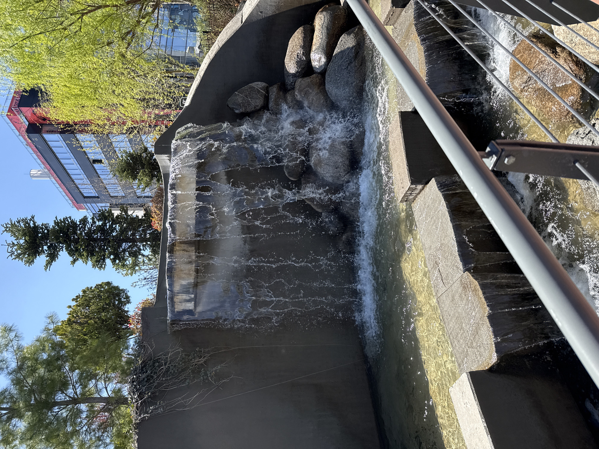 The image captures an outdoor urban scene in Sofia, Bulgaria, showcasing a multi-tiered artificial waterfall or cascade. In the foreground and midground, water vigorously flows over concrete steps and through an area featuring large, smooth grey rocks, creating white splashes and foamy patterns. A grey metal railing with horizontal cables runs diagonally along the right side of the water feature.
Various trees with lush green foliage are visible, including some with vibrant, light green leaves, suggesting spring growth, and darker conifers. In the background, a modern building with a reflective glass facade and distinctive red accents or trim stands prominently against a clear blue sky. Bright sunlight illuminates the scene, casting discernible shadows and highlighting the movement of the water. There are no people visible in the image, nor is any text. The overall atmosphere is one of a bright, serene environment blending architectural elements with natural landscaping.
