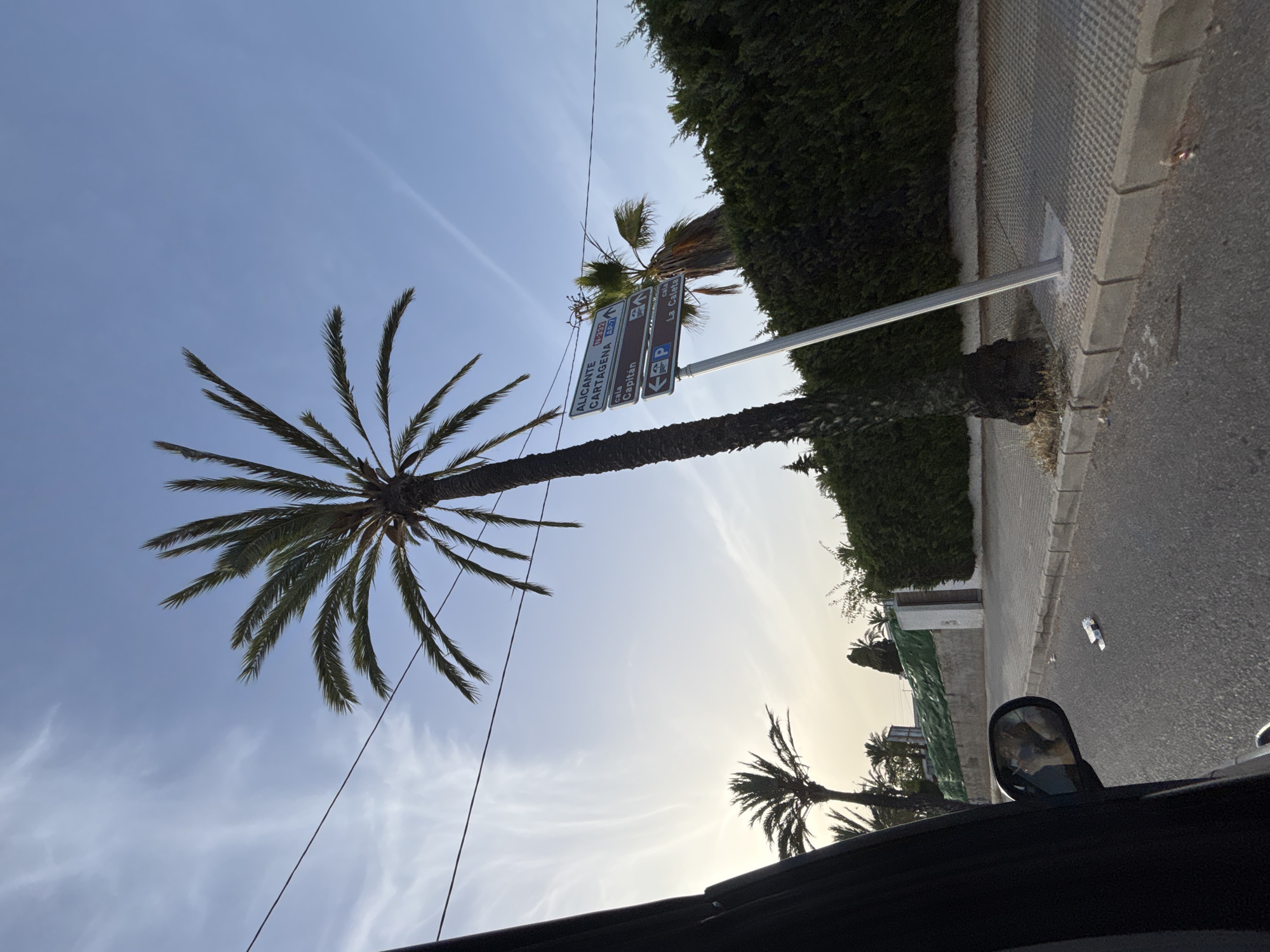 The image depicts a street scene in Urbanización Cabo Roig, Spain, under a hazy, pale blue sky with wispy clouds. A tall palm tree dominates the center-right of the frame, its fronds reaching towards the sky. A silver signpost with directional information is visible to the right of the palm tree, with text indicating destinations such as "ALICANTE," "CARTAGENA," "Cala Capitán," and "La Caleta." To the left of the frame, a portion of a car's interior, including a black door panel and a side mirror reflecting a person, is visible. The car appears to be on a paved road with a sidewalk. A dense green hedge runs along the right side of the sidewalk. Several other palm trees are scattered in the background, along with some buildings. There is some litter on the road and sidewalk, including what appears to be cigarette packs. The overall scene suggests an outdoor, daytime setting in a coastal urban area.