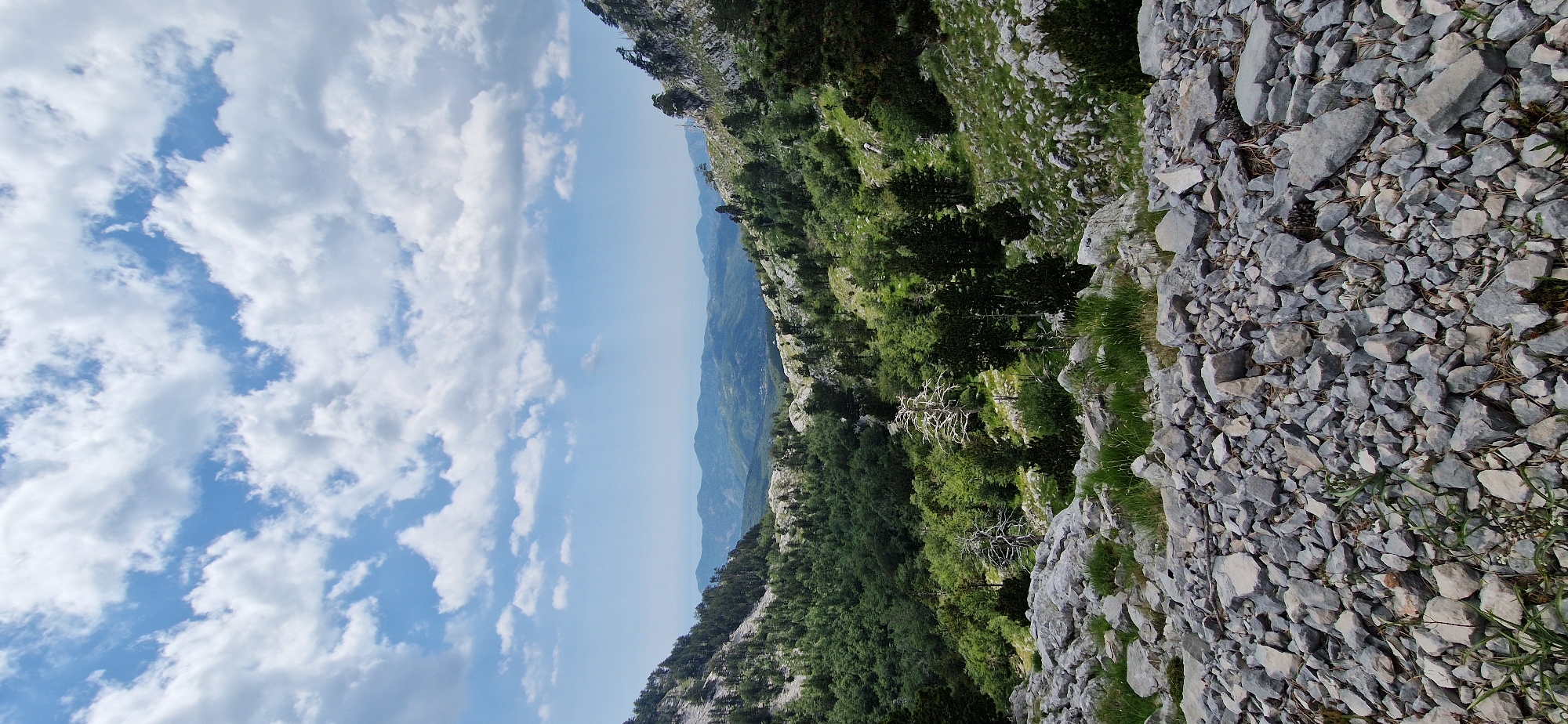 The image captures a panoramic view of a mountainous landscape, likely from a high vantage point within or near Kruševice, Montenegro. The foreground is dominated by a dense scattering of grey, irregular rocks and stones, interspersed with sparse tufts of green grass. Beyond this rocky terrain, the midground reveals a lush, green valley filled with dense forests of coniferous trees. The trees extend up the slopes of the surrounding mountains, with some lighter-colored rocky outcrops visible on the inclines. In the distance, a series of rolling hills and mountains are visible, layered in shades of blue and green, suggesting a significant depth to the landscape. The sky above is a bright blue, punctuated by scattered, fluffy white clouds, indicative of fair weather. The overall scene is one of natural, rugged beauty, with no signs of human presence or structures within the frame.