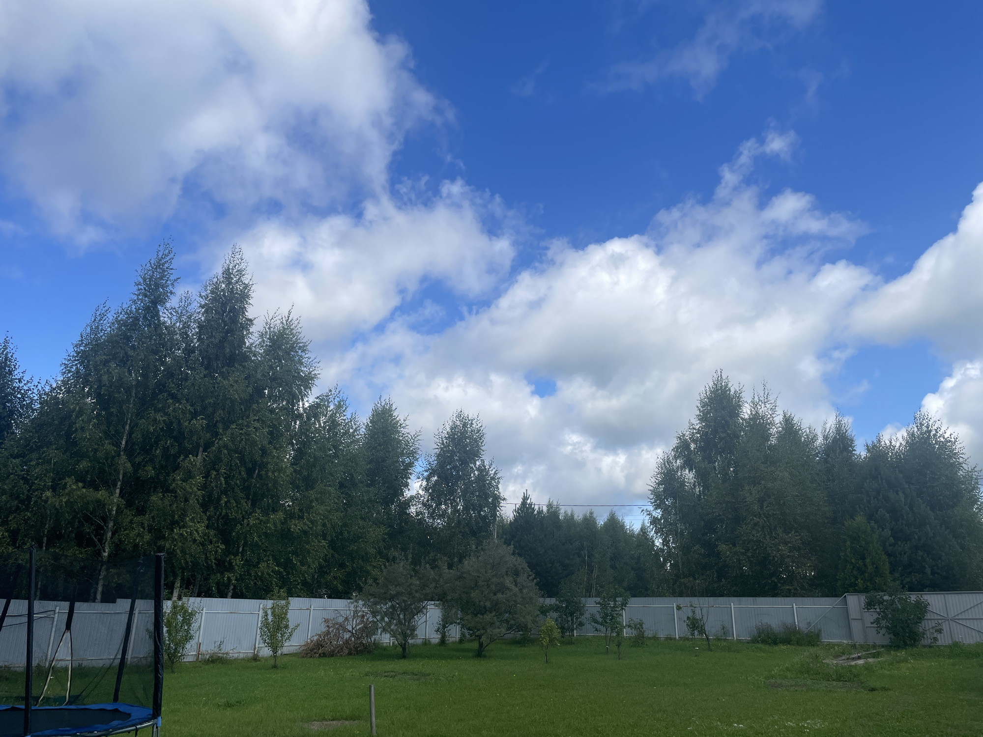 The image depicts a backyard scene in Kuz'mishchevo, Russia, on a partly cloudy day. A large expanse of green grass covers the foreground, with a trampoline on the left side of the frame. A white metal fence runs horizontally across the middle ground, separating the yard from a dense line of tall, dark green trees that form the background. Several smaller trees and bushes are scattered in the yard near the fence. The sky above is a vibrant blue, punctuated by scattered white clouds.