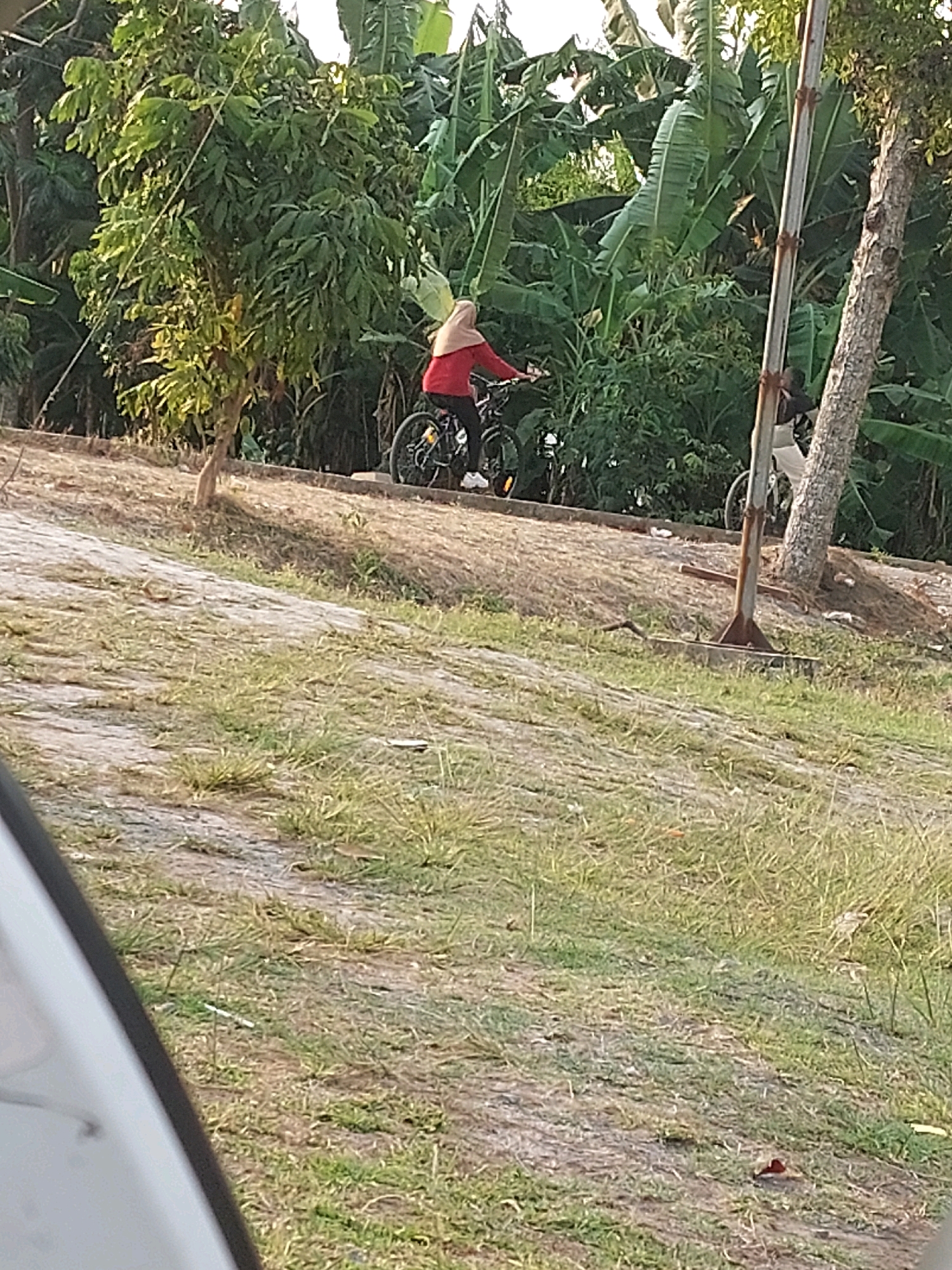 In CANGA'AN, Indonesia, a person wearing a red hijab and a red long-sleeved shirt is riding a bicycle on a paved path. The person is positioned in the center-left of the frame, with their bicycle in motion. To the right of the cyclist, another person, wearing a white head covering and light-colored pants, is seen walking near a utility pole and a tree. The background is filled with lush green foliage, including banana trees, suggesting a tropical environment. The foreground consists of a dry, grassy embankment with a dirt path running through it. The scene appears to be outdoors, under natural lighting, possibly late afternoon due to the warm tones in the lighting.