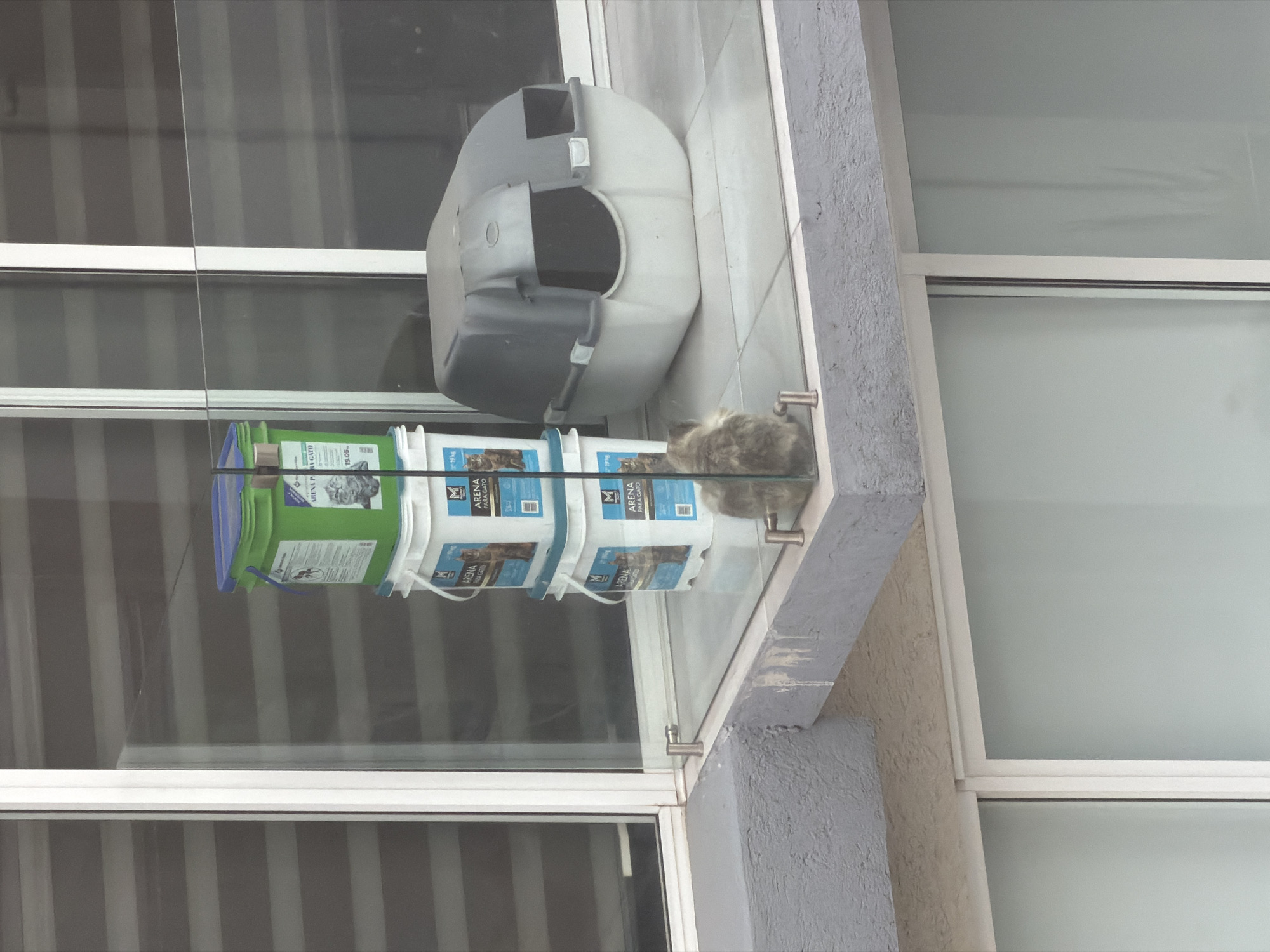 This image, taken in San Andrés Cholula, Mexico, captures an outdoor area, likely a balcony or patio, furnished with pet supplies. The primary subject is a small, fluffy, grey and white cat, curled up and resting contentedly on a transparent glass shelf or barrier in the lower right portion of the frame. Its reflection is visible on the glass surface below it.
To the left of the cat stands a large, two-toned grey and white enclosed cat litter box or outdoor cat shelter. Further to the left, several plastic buckets are stacked, also resting on the glass surface. One green bucket is visible at the top of the stack, with at least three white buckets underneath. Visible text on the white buckets includes "ARENA PARA GATO" (cat litter), a logo with the letter "M," and "19 kg," indicating the weight. Another label shows "19.05."
The background consists of large windows, reflecting what appear to be vertical blinds or shutters, hinting at an indoor space beyond. The exterior wall of the building is a textured, light grey stucco. The glass barrier, supported by metal fixtures, separates the items from the edge of the balcony. The lighting is soft and diffused, suggesting daytime, possibly under an overcast sky. The scene depicts a well-provisioned and comfortable outdoor spot for a domestic cat.