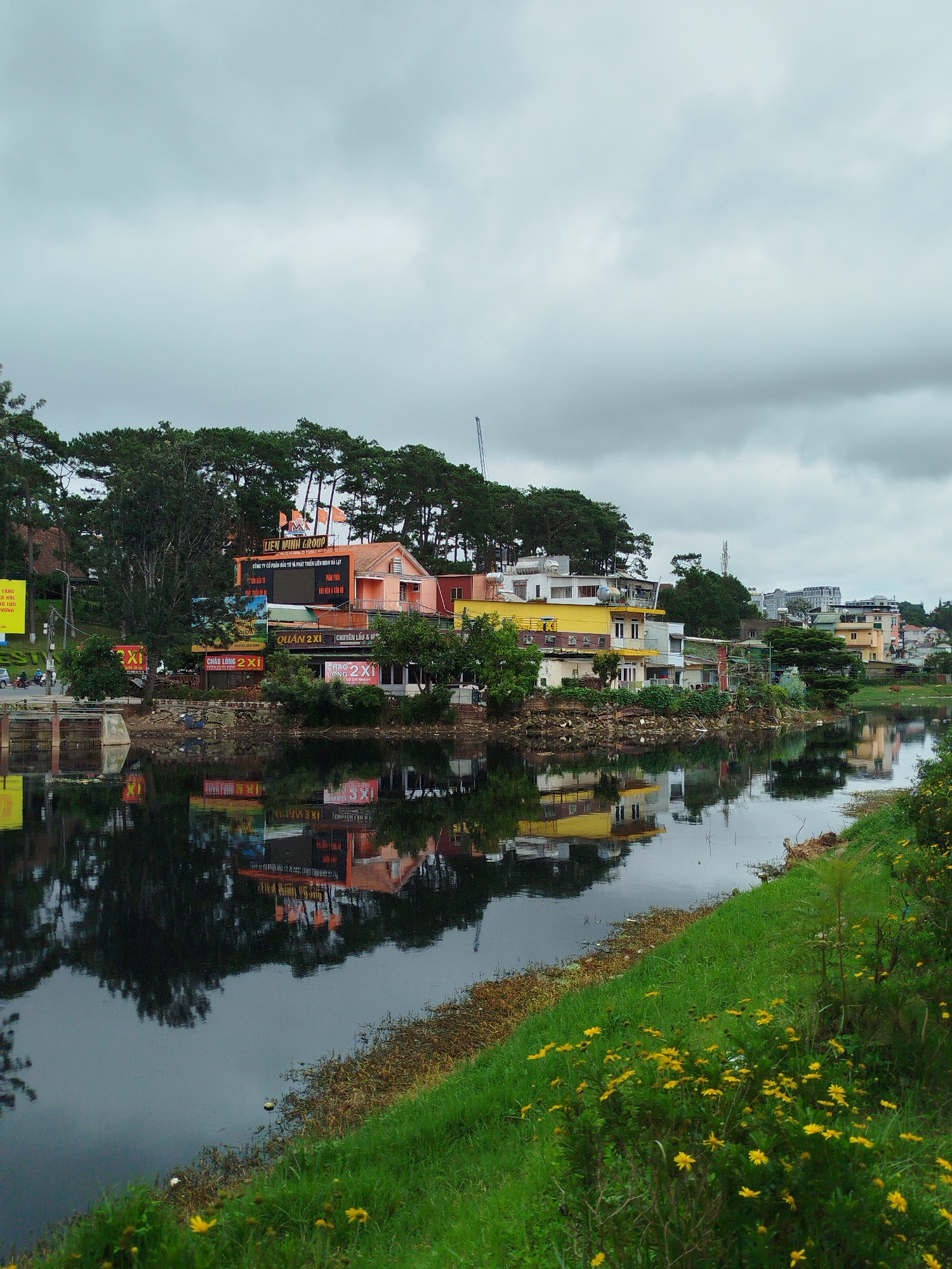 This is a wide shot of Xuan Huong Lake in Da Lat, Vietnam. The lake's surface reflects buildings and trees on the opposite shore. On the left side of the image, there is a concrete structure with railings that appears to be a bridge or walkway. The buildings on the far bank are a mix of colorful, low-rise structures, some with advertisements. A dense line of tall green trees forms a backdrop for these buildings. The sky is overcast with heavy gray clouds. The right side of the image features a grassy embankment dotted with small yellow wildflowers and some dried reeds. The overall scene suggests a slightly overcast day, possibly in the morning or late afternoon. There are no visible people or vehicles in the immediate foreground or on the lake.