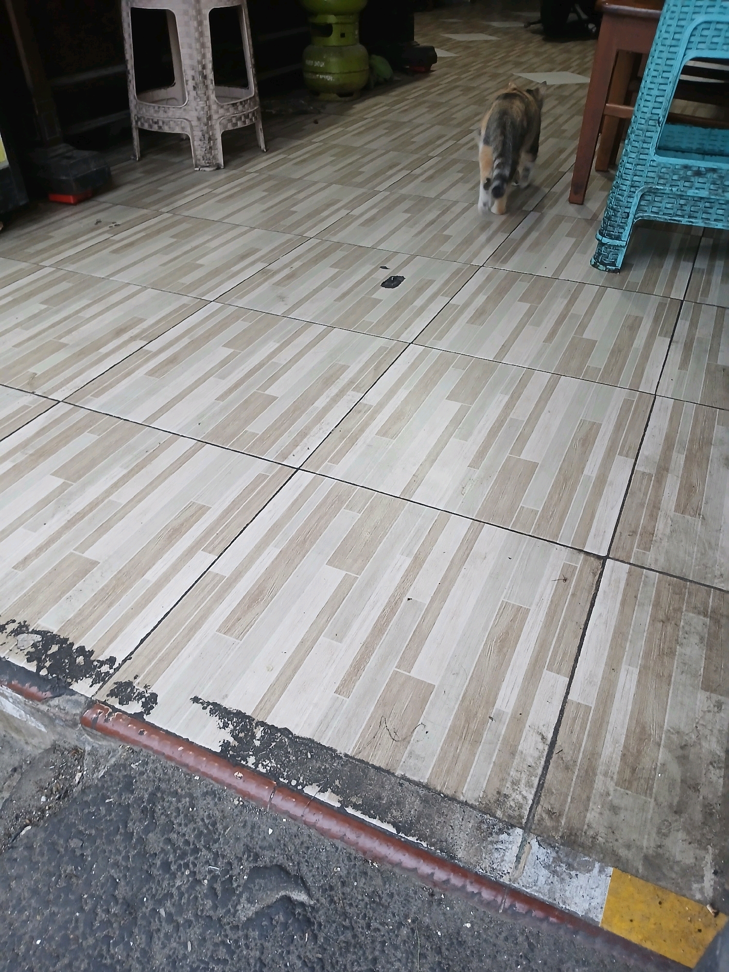 A calico cat walks away from the camera on a tiled floor. The tiles are light brown and cream colored, laid in a staggered pattern. To the left of the cat, a light-colored plastic stool is visible. To the right, a blue plastic chair and a wooden table leg are present. The floor transitions to a rougher gray concrete surface at the bottom of the image, with a brown pipe running along the edge. Yellow paint is visible on the far right edge. The scene appears to be an outdoor area, possibly a sidewalk or patio, in a commercial or residential setting in Depok, Indonesia, given the presence of what looks like a propane tank in the background.