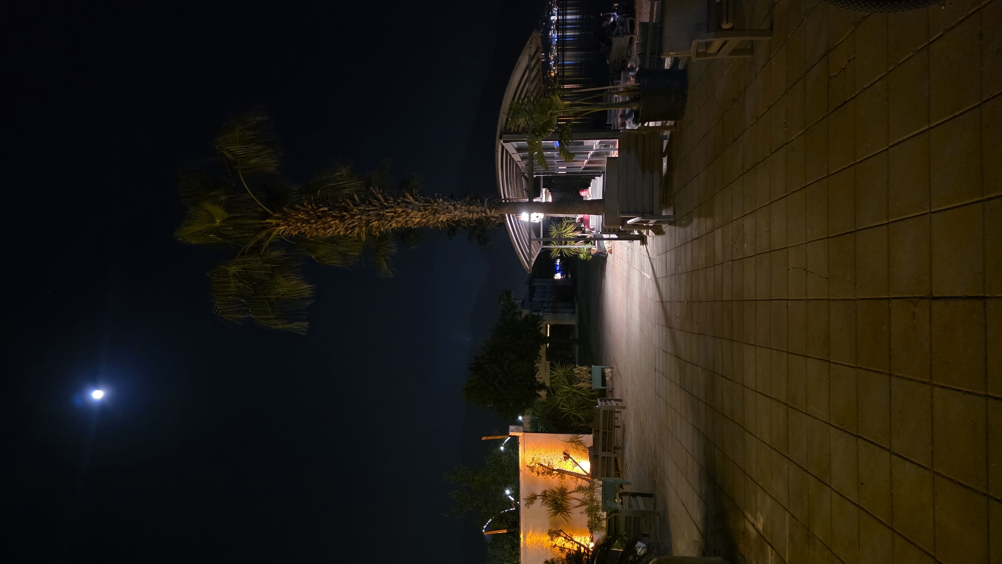 The image depicts a night scene in Fethiye, Turkey. A palm tree stands tall against a dark sky, illuminated by the moon. Adjacent to the tree is an outdoor dining area with tables and chairs under a partially covered structure. A tiled walkway extends from the dining area, reflecting ambient light. Further down the walkway, a wall is bathed in warm, upward-facing light, highlighting foliage. In the distance, dark silhouettes of trees and buildings are visible. Water can be seen along the top of the image indicating that the location is likely near the Fethiye harbor.