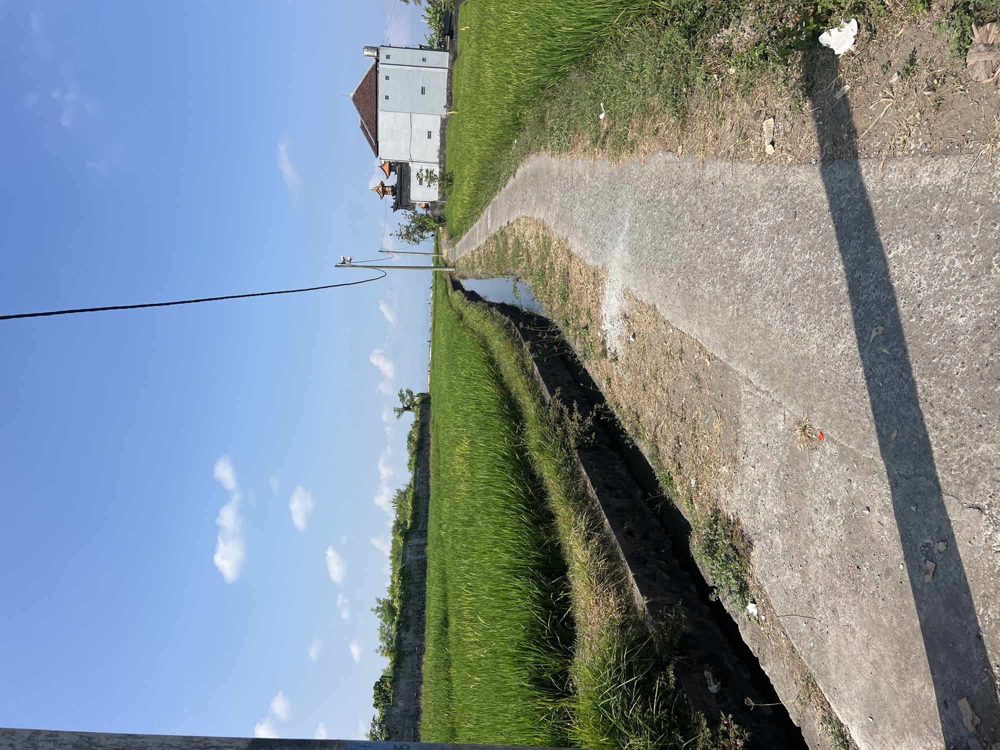 The image depicts a narrow concrete path winding through lush green rice paddies under a bright blue sky with scattered white clouds. The path is flanked on the left by a drainage ditch and the expansive paddy field, and on the right by another rice field. In the background, to the right of the path, is a white building with a brown tiled roof, resembling a Balinese temple or traditional dwelling, with intricate dark spires on a smaller adjacent structure. A utility pole with wires stretches across the upper portion of the frame, casting a long shadow across the path. The environment appears rural and agricultural, consistent with the rice cultivation typical of regions like Mengwi, Indonesia. There are no people visible in the image.
