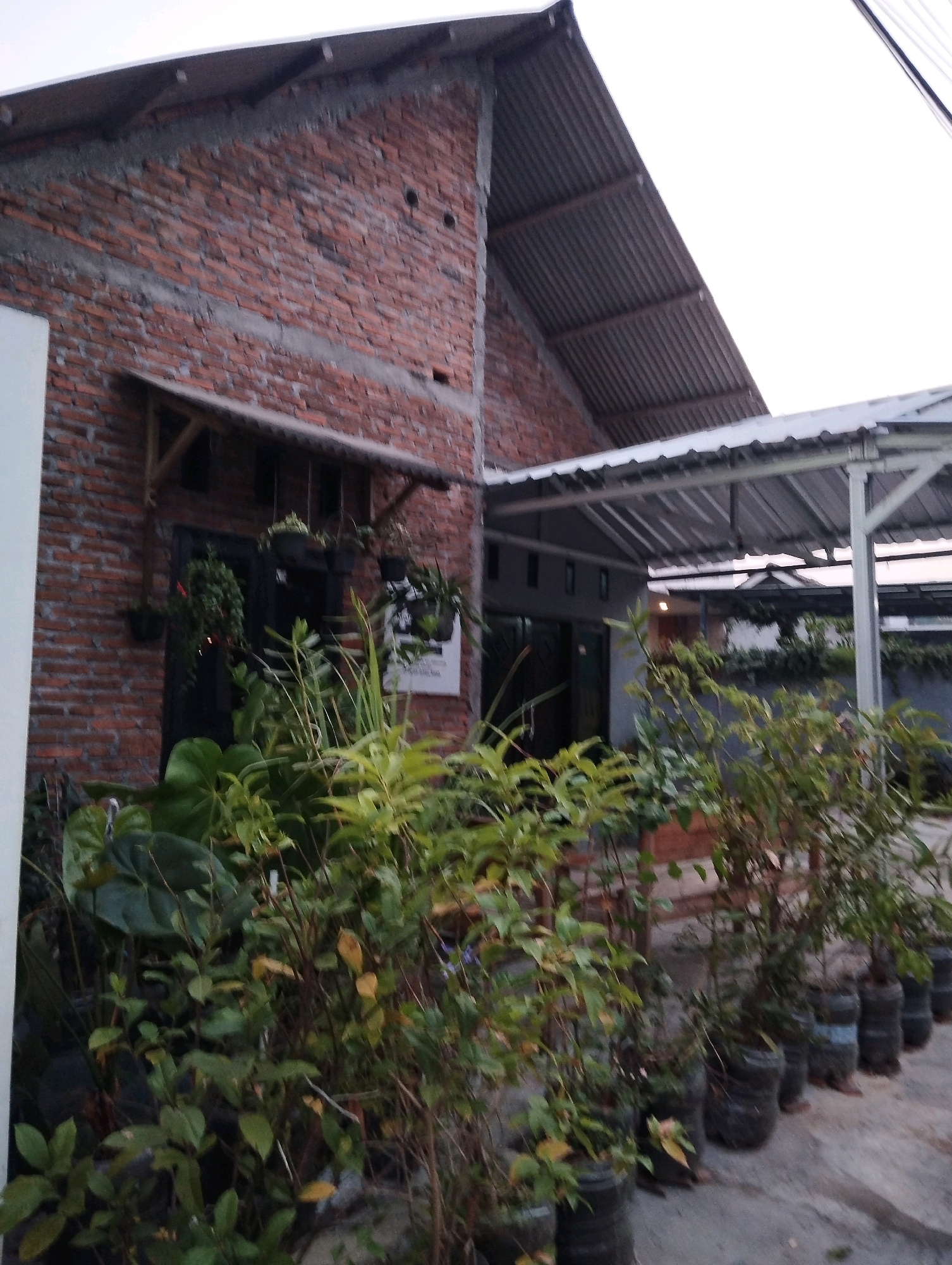 The image depicts the exterior of a building in Salatiga, Indonesia, characterized by a brick facade and a corrugated metal roof. The foreground is dominated by an assortment of potted plants, suggesting an outdoor planting area or garden. The plants vary in size and foliage, with some appearing lush and green, while others exhibit a more weathered or sparse appearance. The pots themselves are varied, with some appearing to be repurposed plastic containers. In the background, the building features a dark doorway or entrance, adorned with hanging plants. A narrow awning extends over the entrance, providing some shelter. The overall environment appears to be a residential or commercial space with a focus on landscaping. The lighting suggests it may be late afternoon or early evening.
