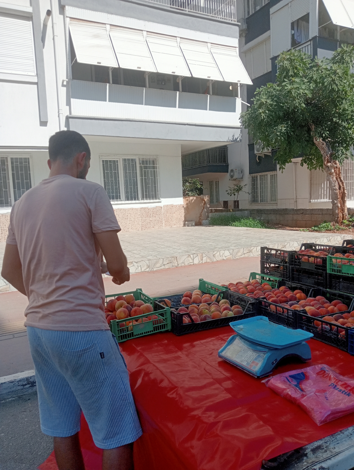 A man is standing behind a table covered with a red plastic tablecloth, displaying a large quantity of peaches for sale. He is wearing a light pink t-shirt and blue and white striped shorts. The peaches are arranged in black and green plastic crates, some of which are stacked. A blue digital scale sits on the table, along with a pink plastic bag. The scene appears to be outdoors, possibly a street market, with a building and a tree visible in the background. The building is light-colored with multiple windows and balconies, some of which have white awnings. The tree is leafy and appears to be in bloom or bearing fruit. The ground is paved with light-colored tiles and asphalt. This scene is located in Antalya, Turkey.