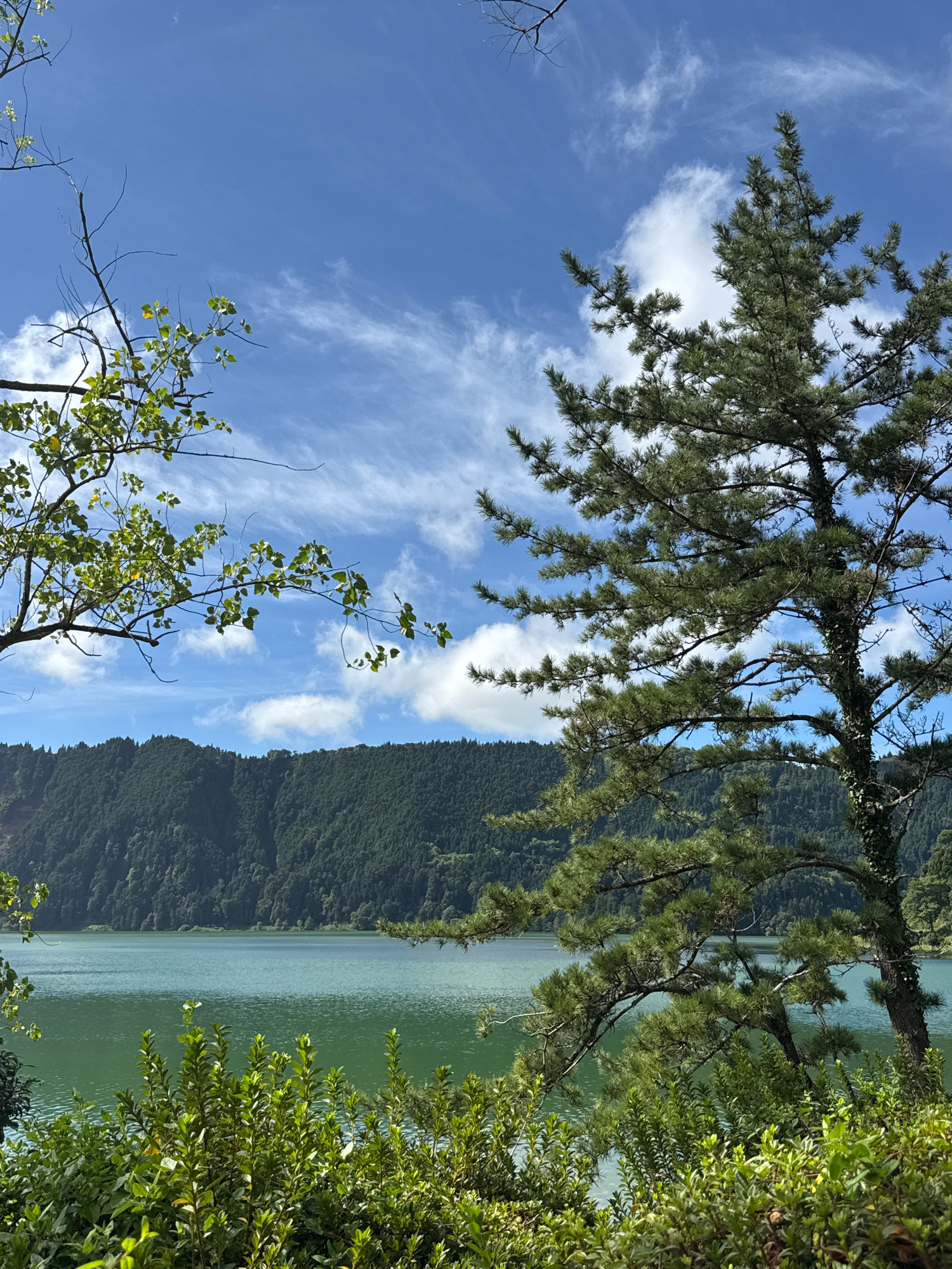 An eye-level, medium shot captures a tranquil natural landscape with a vibrant green lake in the foreground. Lush green bushes and the branches of two trees frame the view. In the background, a densely forested mountain slopes down to the lake. The sky above is a brilliant blue, adorned with wispy white clouds. The scene is devoid of any human presence or activity, evoking a sense of peaceful solitude.
