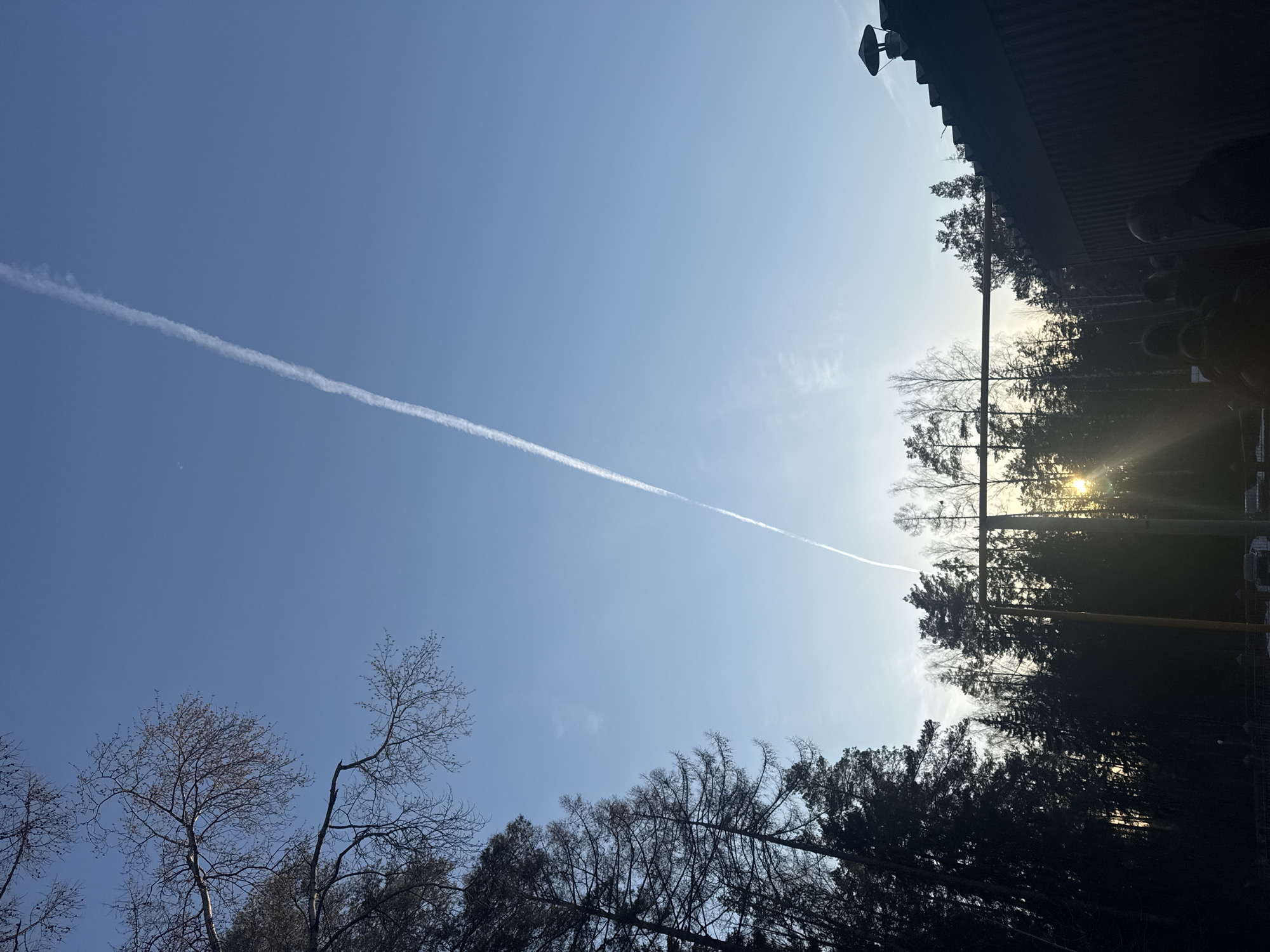 The image shows a blue sky with a white contrail stretching diagonally across it. The lower portion of the image has bare trees silhouetted against the sky. In the upper-right corner, there's a partial view of a structure, possibly a building roof with some equipment mounted on it. The sun shines through trees near the horizon, indicating that the image was taken near sunrise or sunset. The scene appears to be in a natural or park-like setting, with trees as the primary visible features, possibly in or around the city of Noviy, Russia. No people are visible.