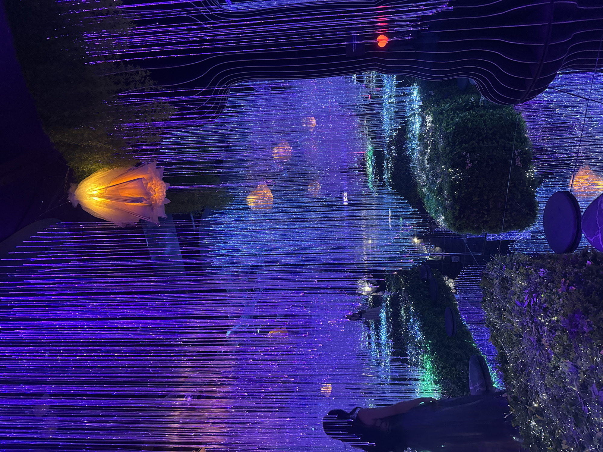 This image depicts an indoor art installation at the Museum of Illusions in Moscow, Russia. The exhibit features a dense curtain of vertical, thin, illuminated fiber optic strands, predominantly in shades of purple and blue, creating an immersive, ethereal atmosphere. Scattered throughout the space are also glowing orange orb-like light fixtures, some appearing to be suspended from above and others embedded within the landscape.
The foreground is dominated by a woman standing with her back to the camera, wearing a dark, flowing dress. Her presence grounds the scene, suggesting a visitor experiencing the installation. To the right of the woman, a large, stylized tree-like structure with black and white vertical stripes is visible, its surface reflecting the surrounding lights. The ground appears to be a reflective surface, mirroring the overhead lights and creating a sense of depth. In various sections of the exhibit, there are sculpted, green, bush-like forms, some appearing to be elevated or terraced, contributing to a structured, almost garden-like, illusionary landscape. Small, subtle lights are embedded within these green forms, adding to the overall magical ambiance. The exhibit evokes a feeling of a fantastical, otherworldly forest illuminated by bioluminescence.