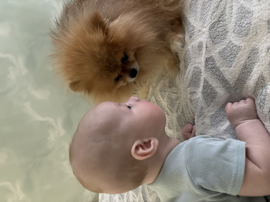 The scene is set indoors, likely a residence, in the city of Chaikovsky, Russia. A light-skinned infant, with minimal light hair, is positioned on its stomach in the left foreground, facing right in profile. The infant wears a light blue-green short-sleeved garment, with arms bent and hands fisted on the surface. Its eyes are open, focused on the subject to its right. Opposite the infant, to the right, is a small, fluffy dog, appearing to be a Pomeranian breed, with dense orange-brown fur. The dog is seated or lying on its stomach, head tilted slightly downwards, also looking towards the infant. Both subjects are on a light-colored, possibly off-white or cream-colored, textured surface, identified as a towel or blanket with a faint repeating pattern. The background consists of a light green or bluish-green wall or textile, featuring a subtle, abstract, cloud-like pattern.