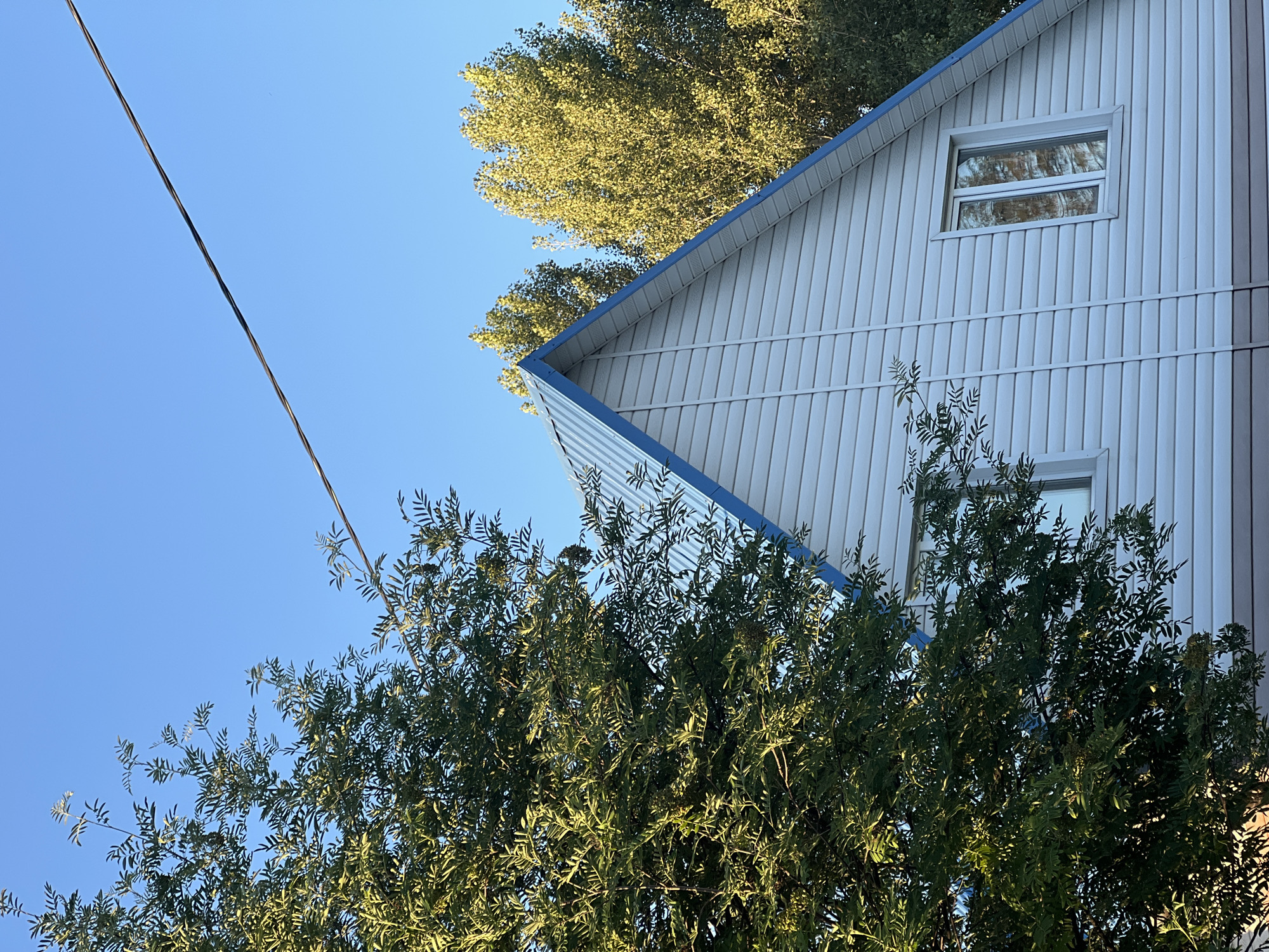 The image captures an angled view of the upper portion of a white, two-story house with a blue-trimmed, corrugated metal roof. Two white-framed windows are visible on the upper level. A large, green tree with dense foliage partially obscures the left side of the house, its leaves catching the sunlight. Behind the house, several tall trees with lighter green, sunlit canopies are visible against a clear blue sky. A thin, dark power line stretches diagonally across the upper portion of the frame. The scene is set in Mochishche, Russia.