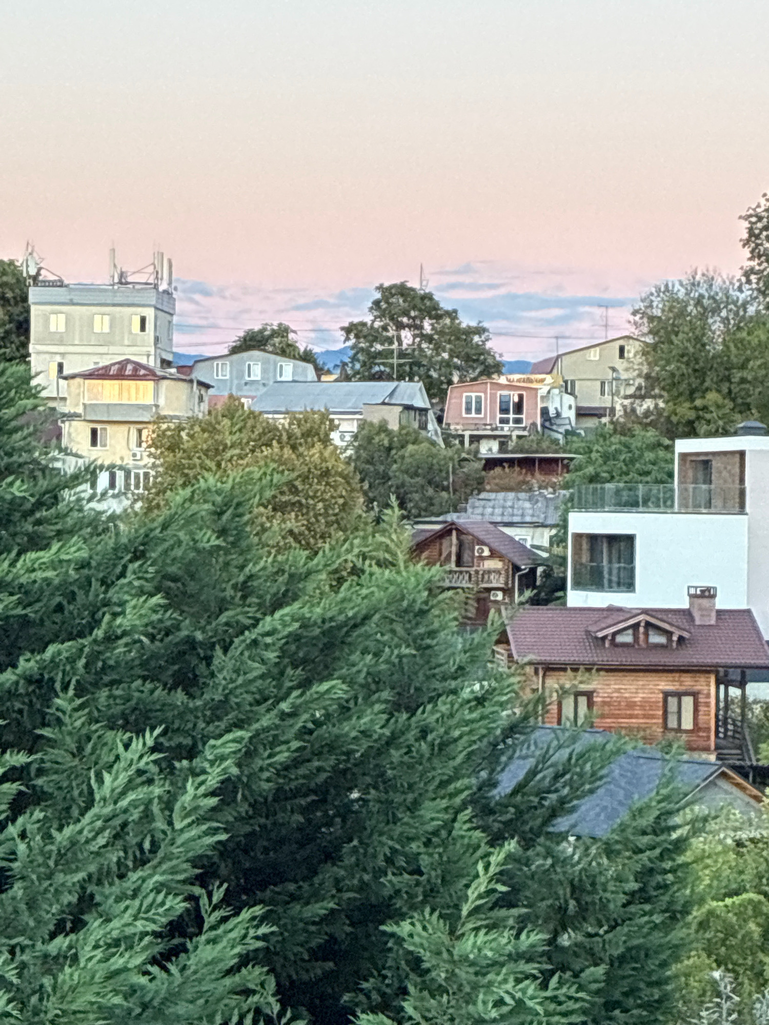 This is a high-angle, outdoor, eye-level shot of a hillside residential area in Sochi, Russia, during the early evening. The sky is a soft pink and pale blue, indicating either sunrise or sunset. In the foreground, large, dense green coniferous trees obscure much of the lower half of the image.
Behind the trees, a collection of houses of various architectural styles and sizes are visible, nestled on the slope. To the left, a multi-story building with a flat roof features several windows and what appear to be communication towers on top. Adjacent to it, a smaller, lighter-colored building with a red-tiled roof has a balcony. Further back, more houses with different roof types and window arrangements can be seen, including a modern white building with a glass-railed balcony on the right side of the frame. Some of the houses are made of wood, while others appear to be stucco or concrete.
The overall impression is of a developed, possibly affluent, residential neighborhood situated in a hilly, green landscape. There are no people or vehicles clearly visible in the frame. The image is a static snapshot of the environment.