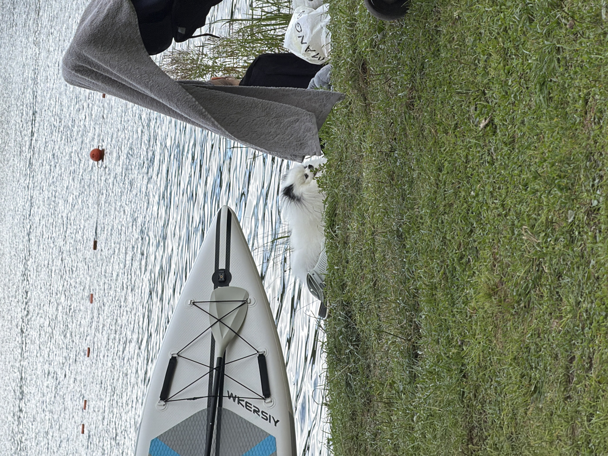 An inflatable paddleboard with the brand name "WERSIY" is positioned on the grassy bank of a body of water, with its bow pointed towards the left of the frame. The paddle is attached to the board. A small, fluffy white dog with black markings on its ears and face is lying on the grass near the water's edge, facing towards the right. A grey towel is draped over the back of a person who is partially visible sitting on the grass behind the dog. Next to the person is a white plastic bag with the partial word "MANGO" printed on it. Several orange buoys are visible floating on the water's surface in the background. The environment appears to be a natural outdoor setting, likely a park or recreational area near a lake or river. The weather is overcast.