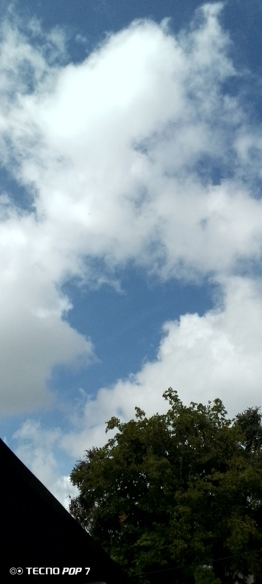 The image shows a view of the sky with clouds and the tops of trees. A dark, angled object, possibly a roof or awning, is visible in the lower left corner, extending diagonally upwards. The foliage of a dense tree with dark green leaves occupies the lower right portion of the frame. The sky is blue with scattered white cumulus clouds. The "TECNO POP 7" watermark is visible in the bottom left corner. This scene could be from Altagracia, Venezuela, but there are no specific landmarks or identifiable features in the image to confirm this location.