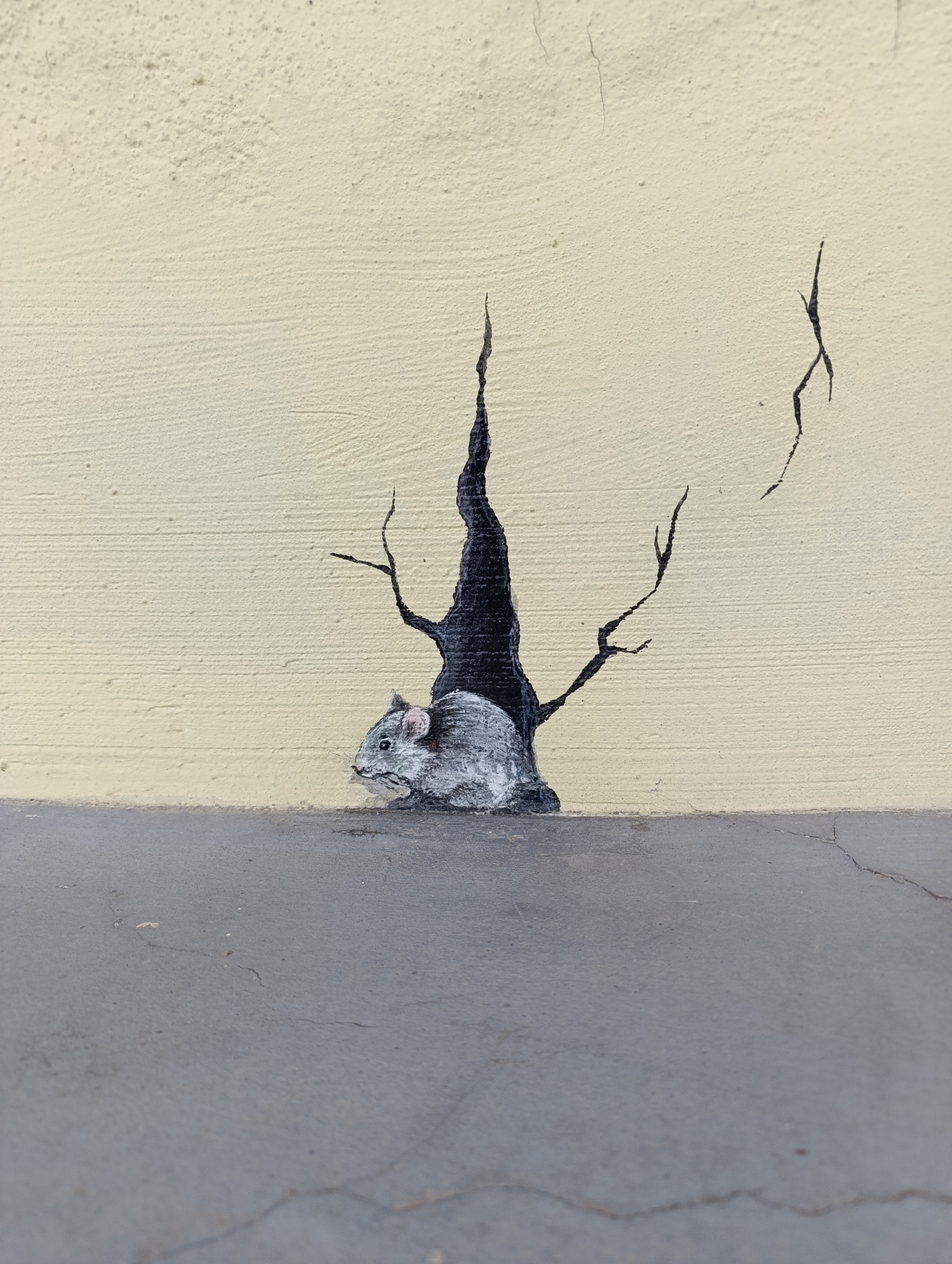 The image is of a Banksy-style mural in Haskovo, Bulgaria. It is located on a wall that is divided into two sections, a light beige top half and a grey bottom half with cracks. The mural depicts a grey rat emerging from a black hole. Extending from the top of the hole are several black lines, resembling the branches of a dead tree. The rat is painted in a realistic style, with detailed fur and features. The overall style of the mural is simple and stark, with a focus on the contrast between the light and dark colors.