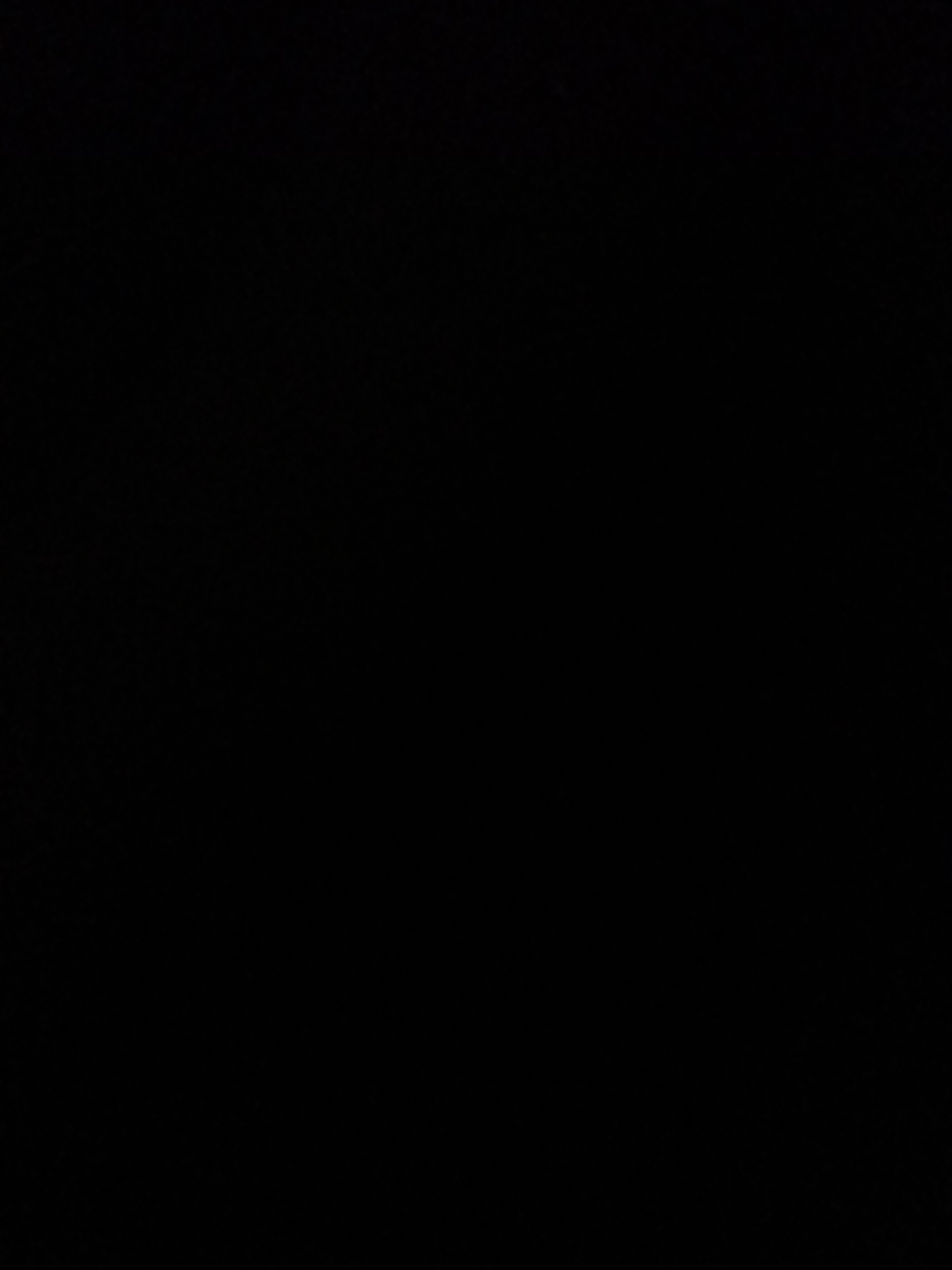 The media file is a completely black image. There are no visible subjects, activities, or details to describe. The image appears to be entirely black, offering no visual information.