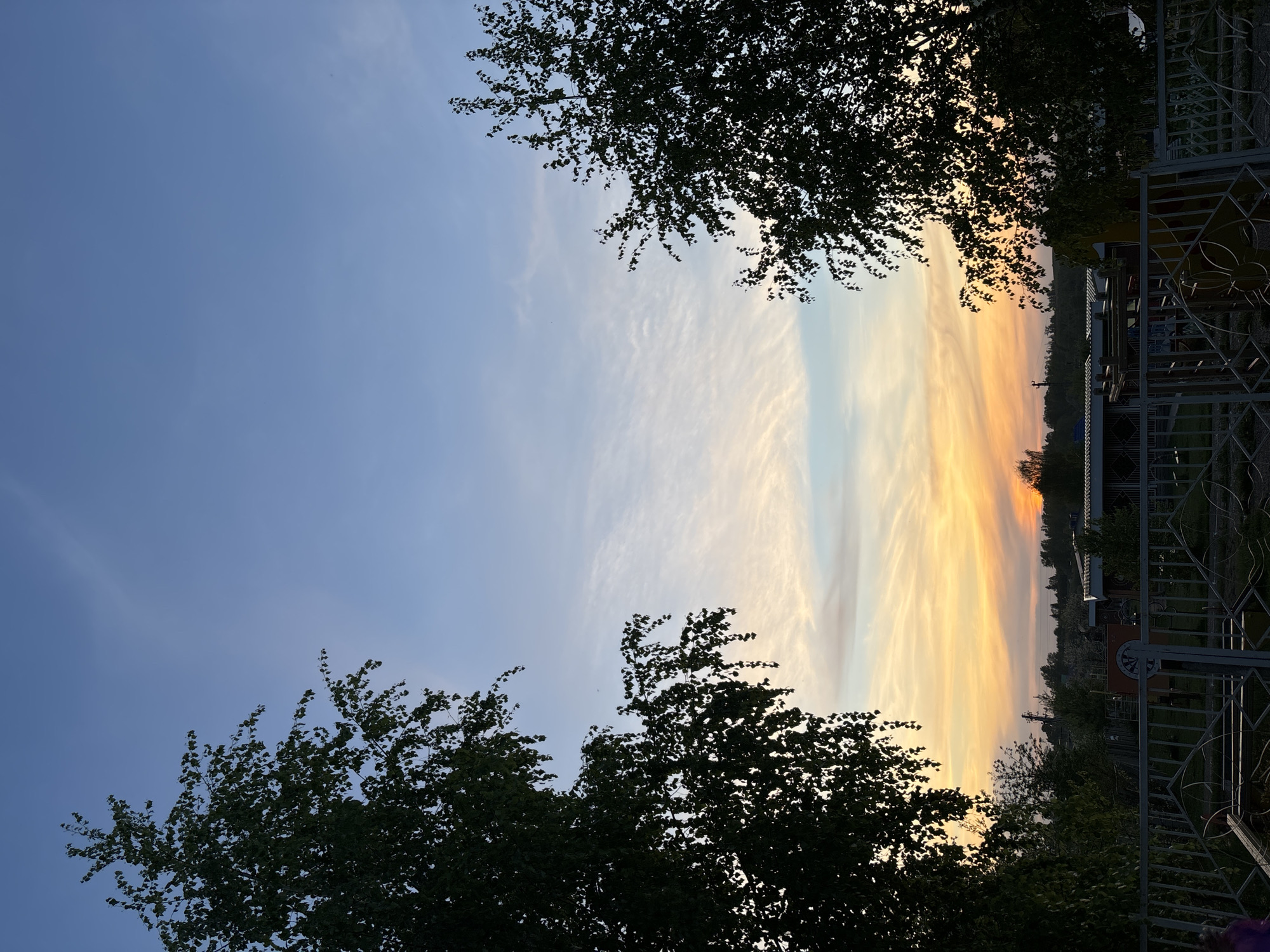 The image depicts a sunset sky framed by tree branches in the foreground. The sky transitions from a light blue on the left to a vibrant orange and yellow on the right. Wispy clouds streak across the sky. In the lower portion of the image, the dark silhouettes of tree branches are visible. A fence and buildings can be seen on the right side. The photograph appears to have been taken in the city of Фоки, Russia.